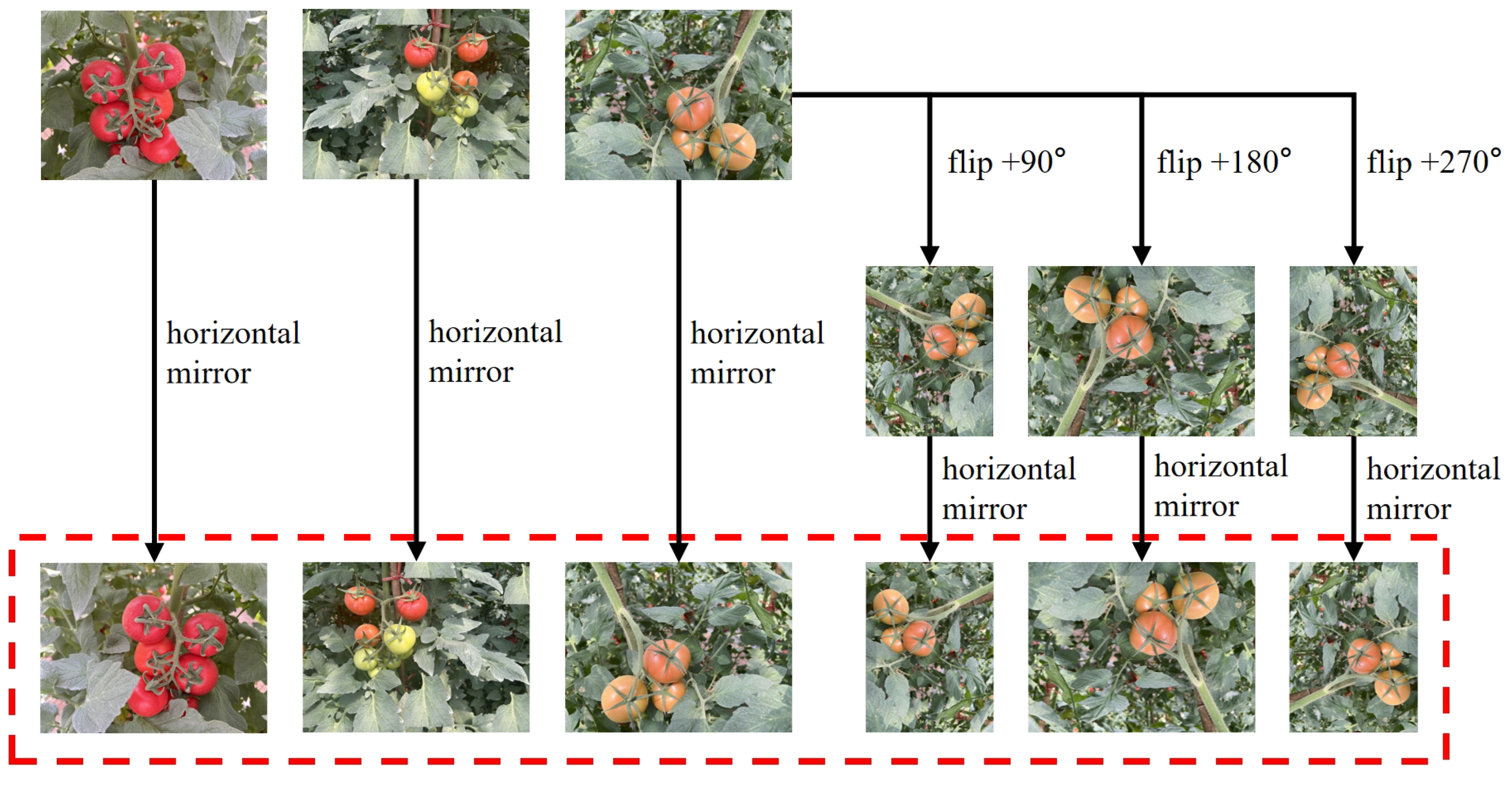 Sensors 25 01502 g004