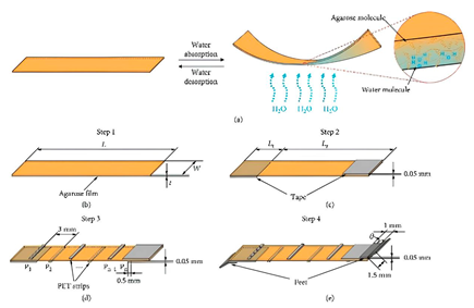 Sensors 25 01508 i001