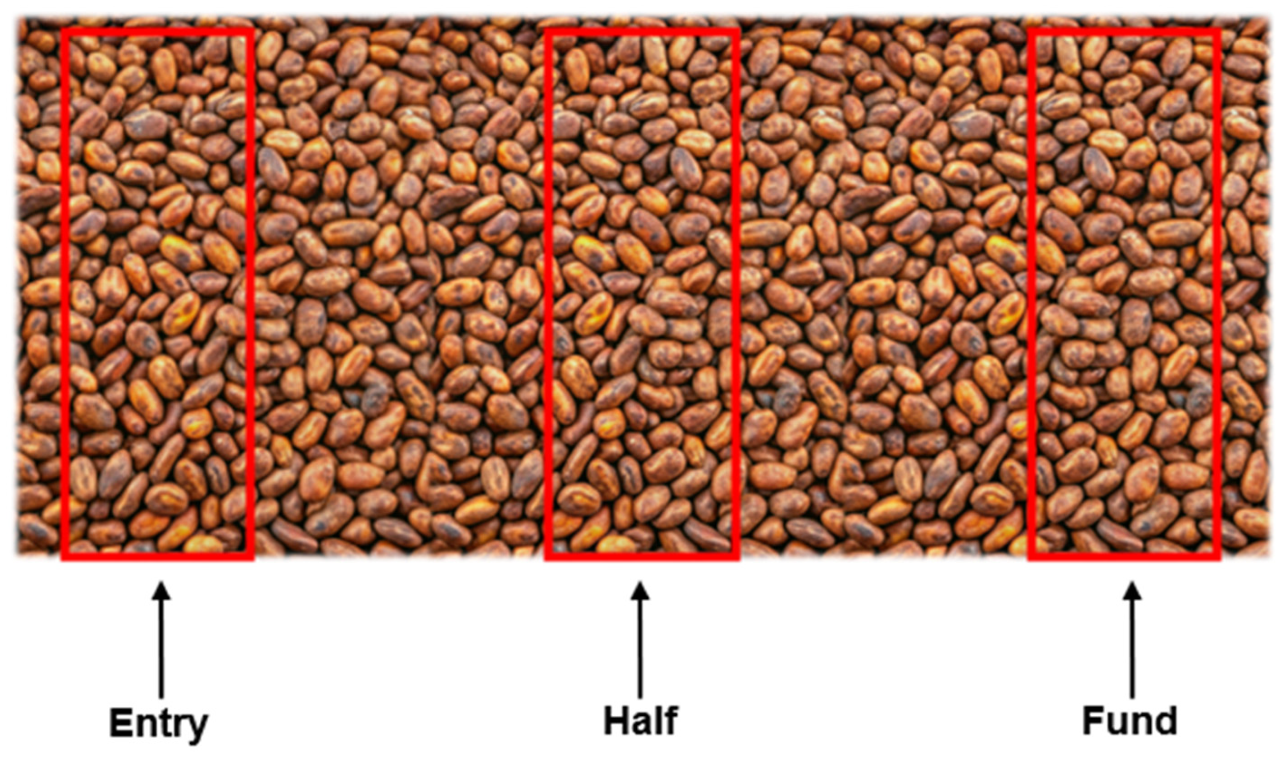 Sensors 25 01520 g005