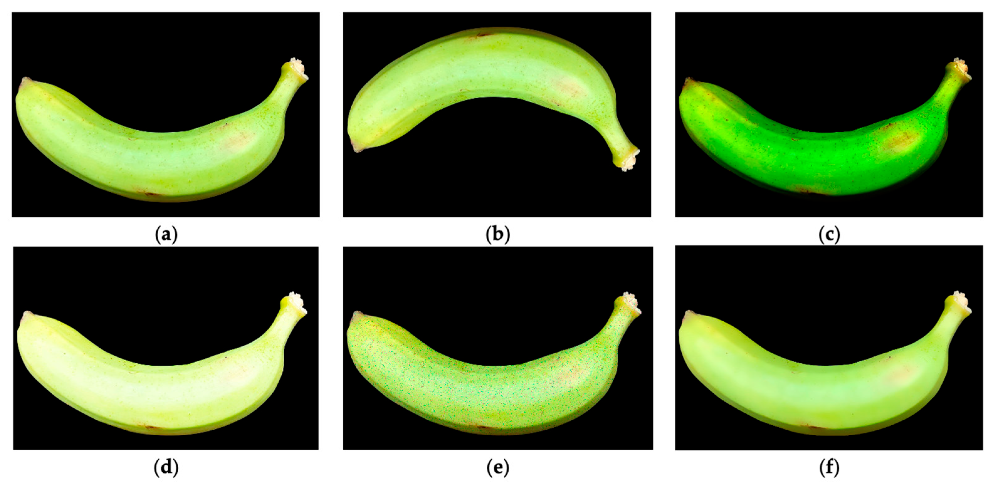 Sensors 25 01524 g009