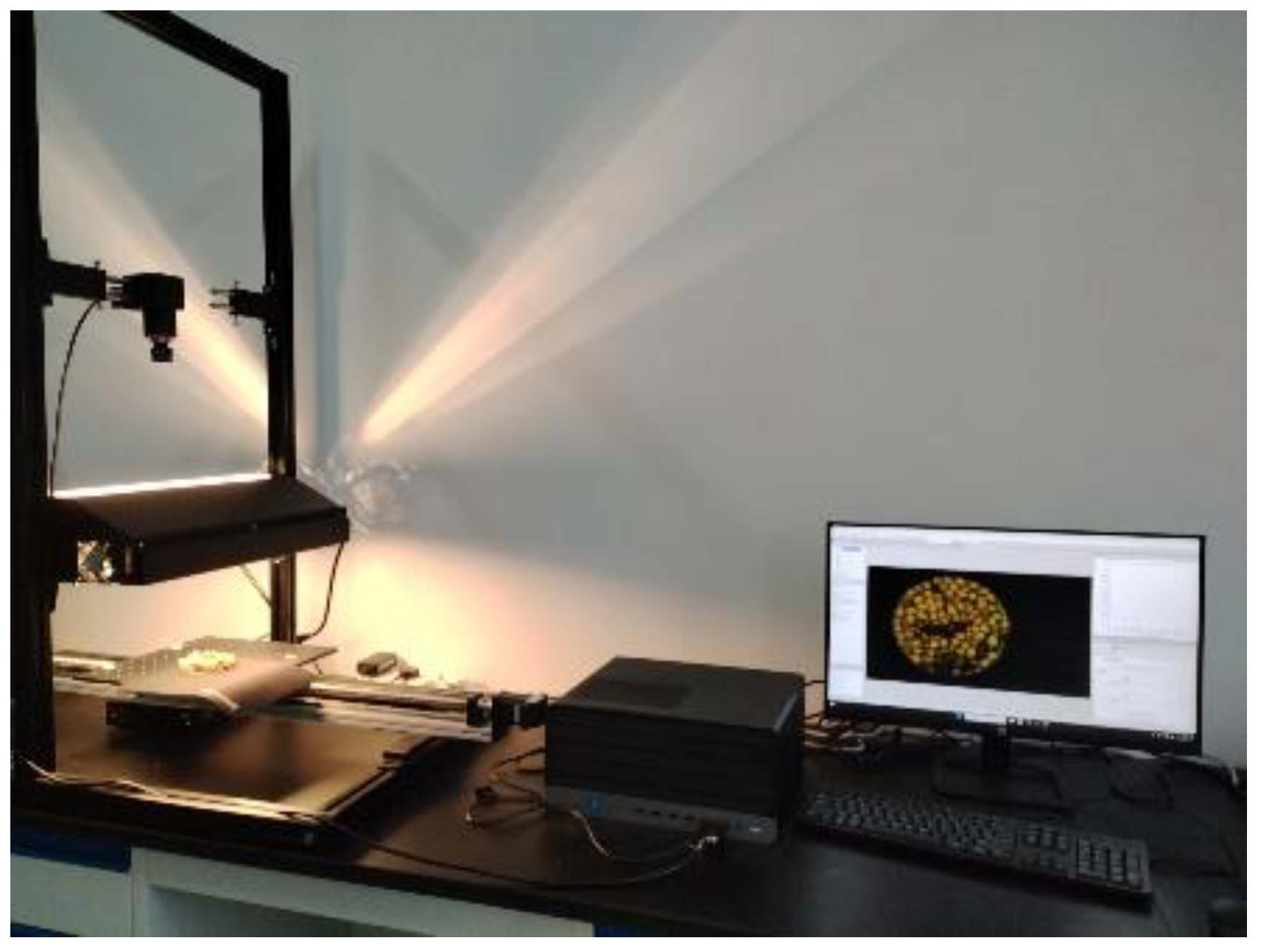 Sensors 25 01539 g002