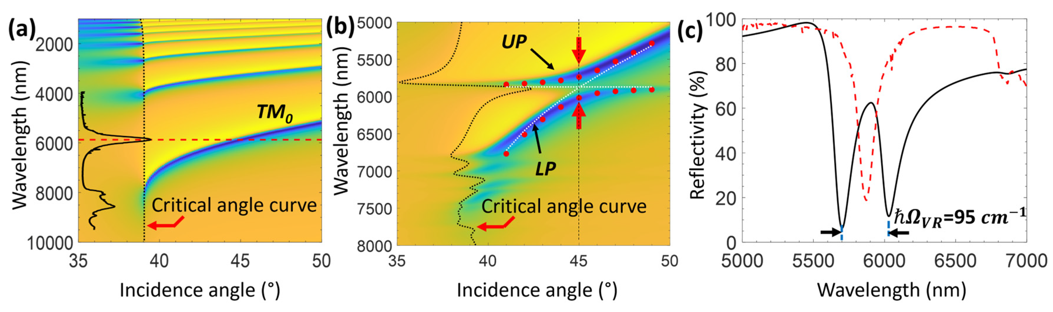 Sensors 25 01550 g006