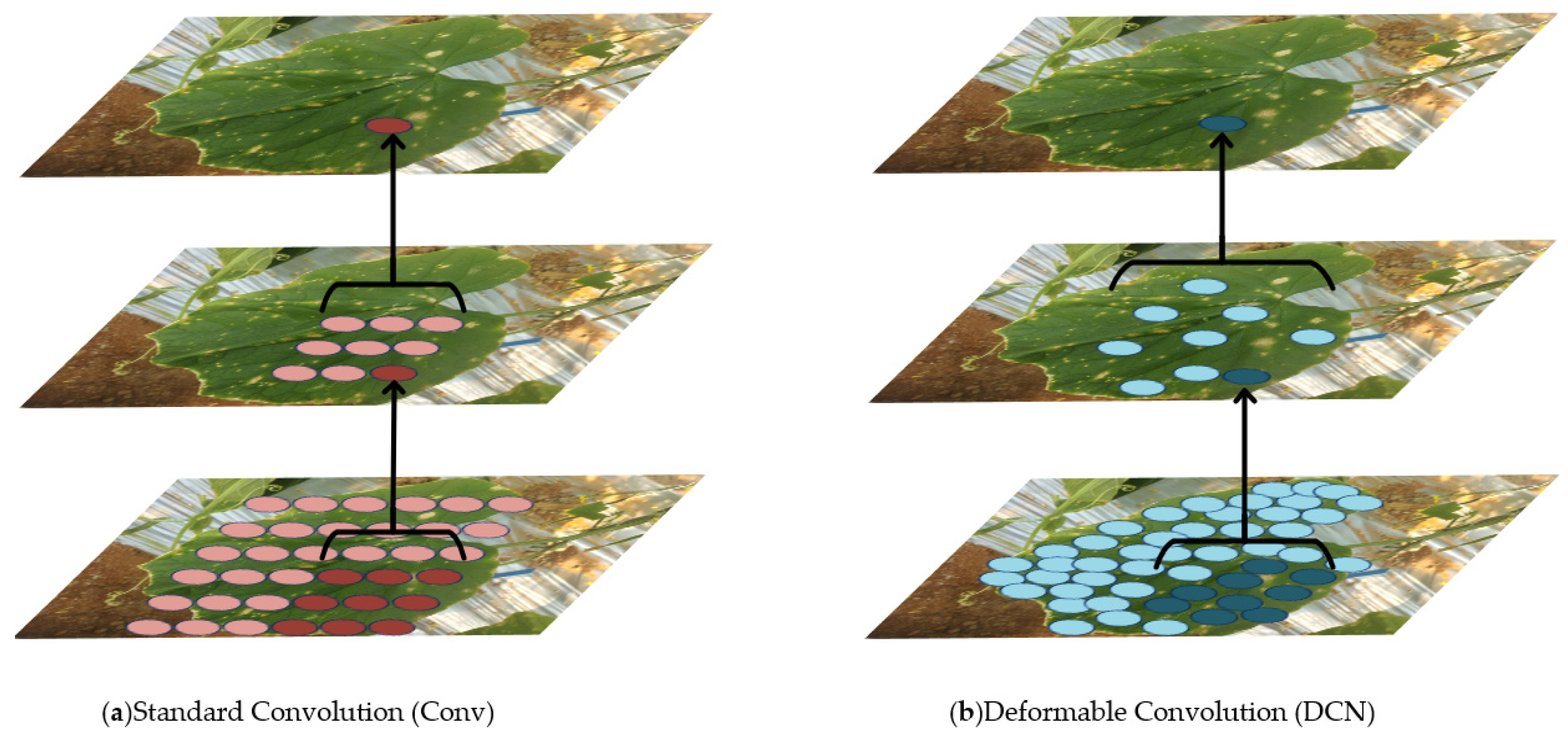 Sensors 25 01551 g004