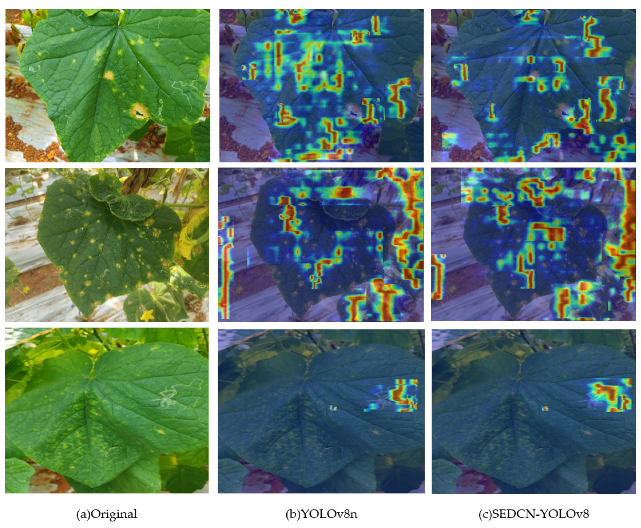 Sensors 25 01551 g012