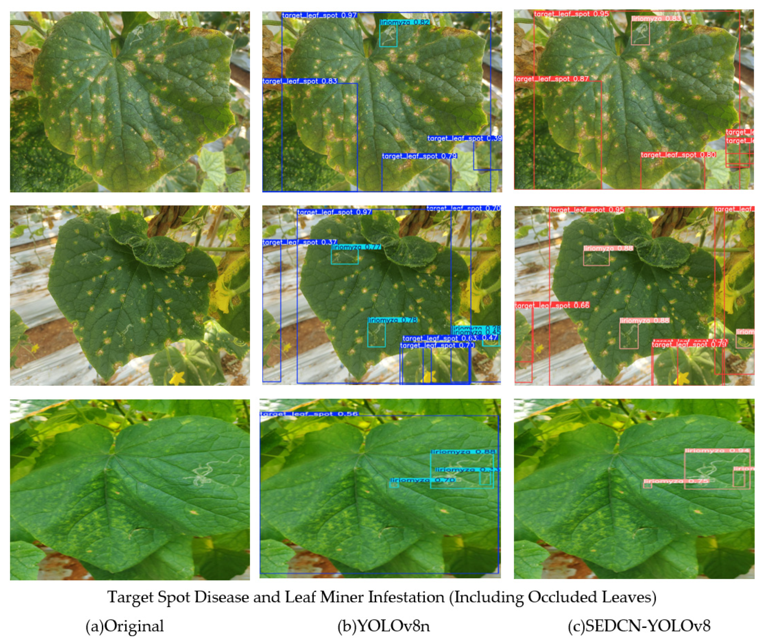 Sensors 25 01551 g013