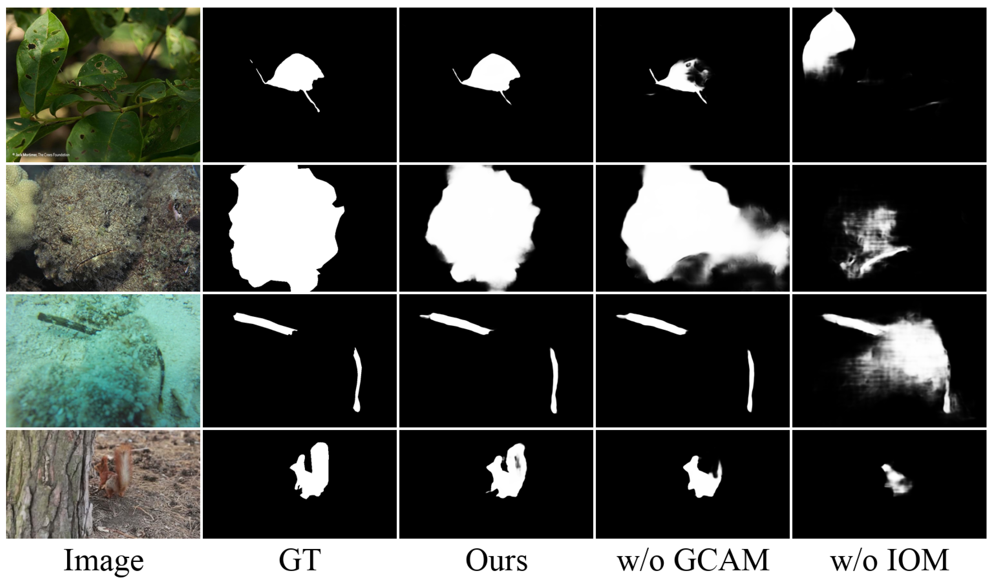 Sensors 25 01555 g009