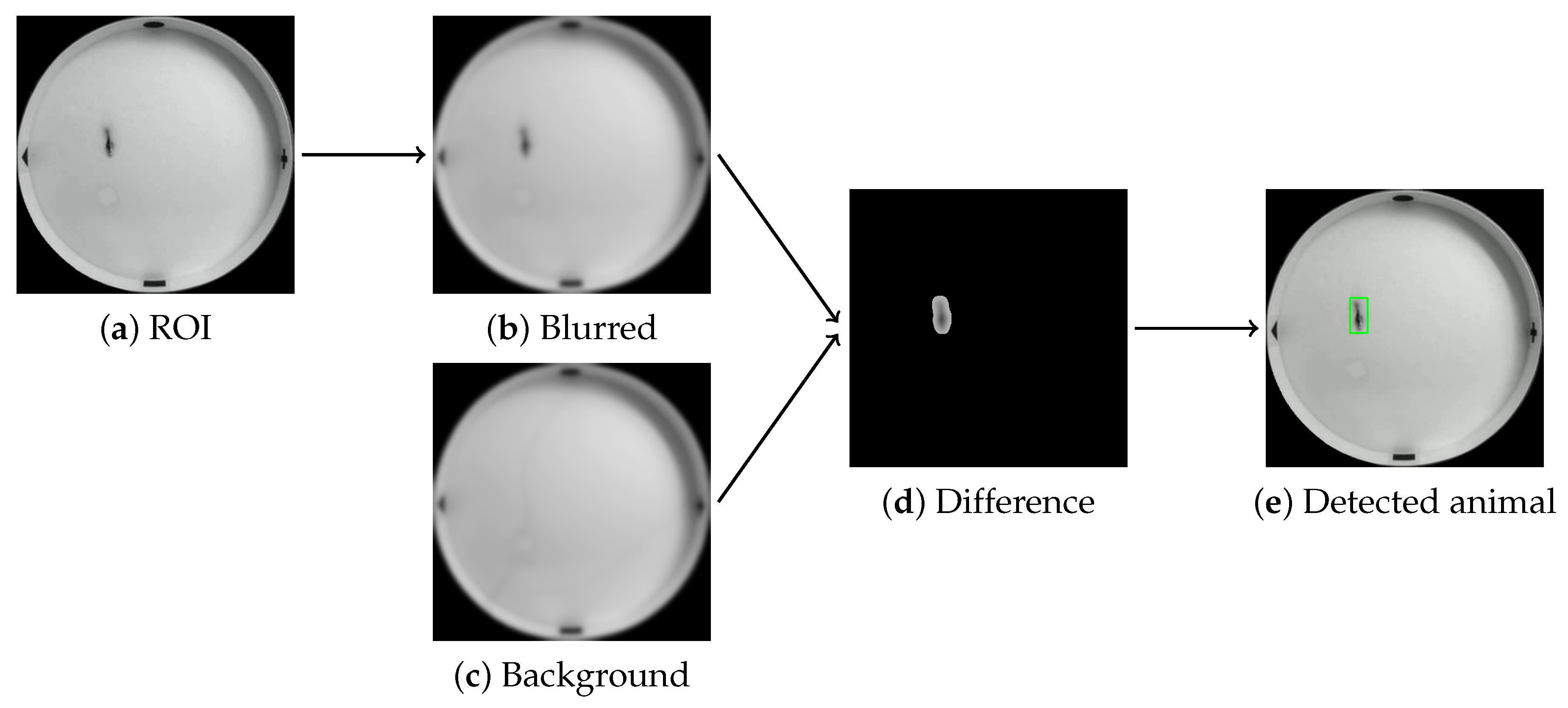 Sensors 25 01564 g004