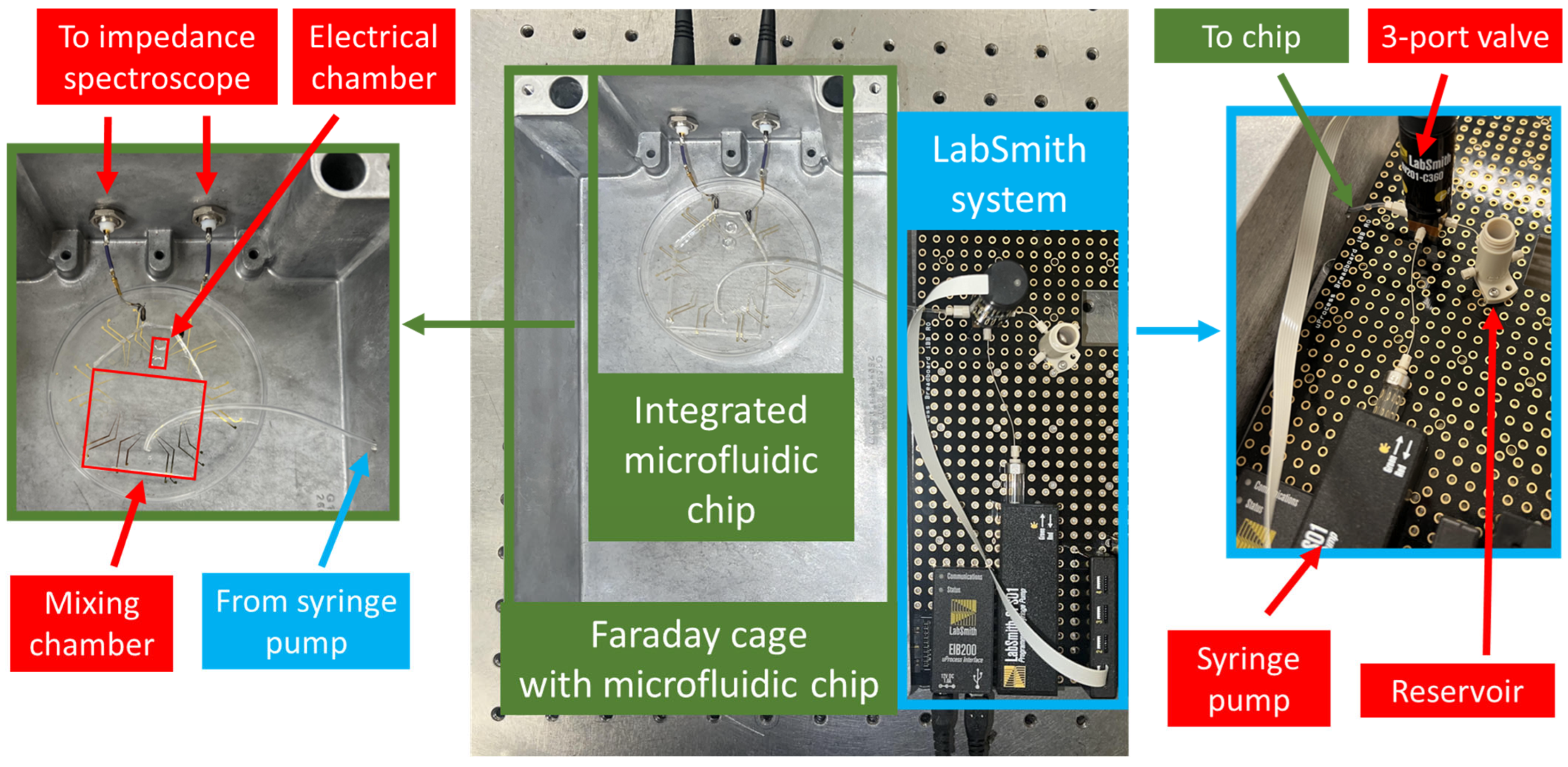 Sensors 25 01566 g003
