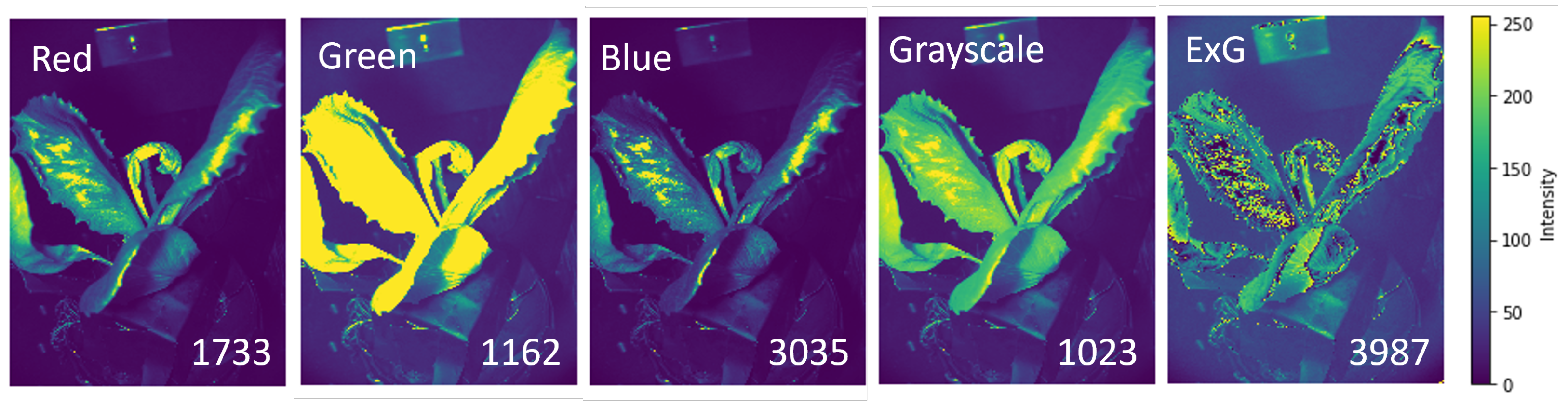 Sensors 25 01572 g002