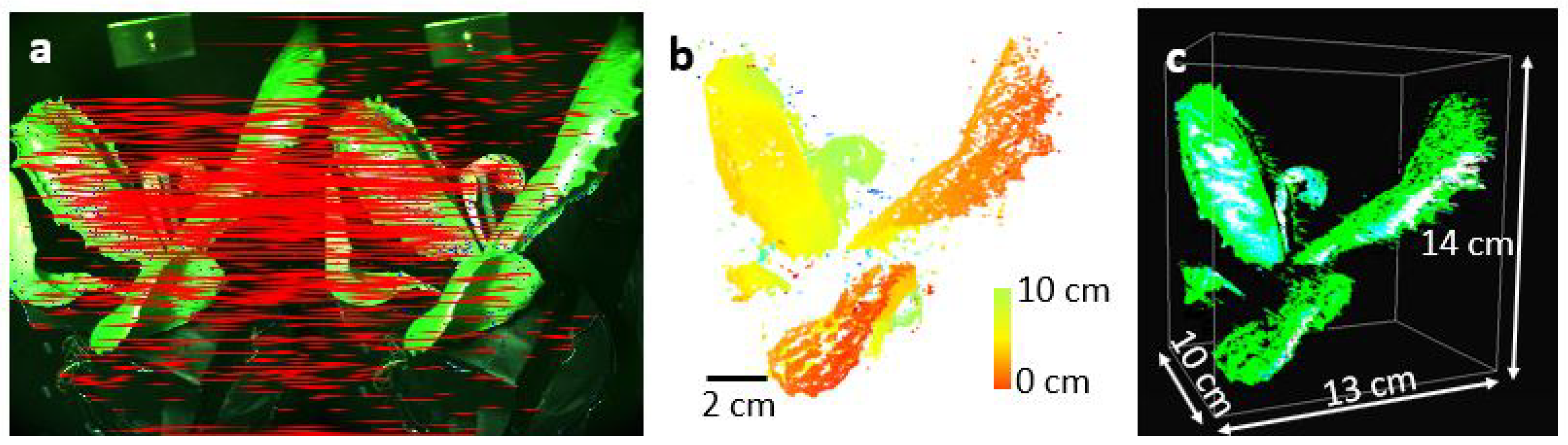 Sensors 25 01572 g004