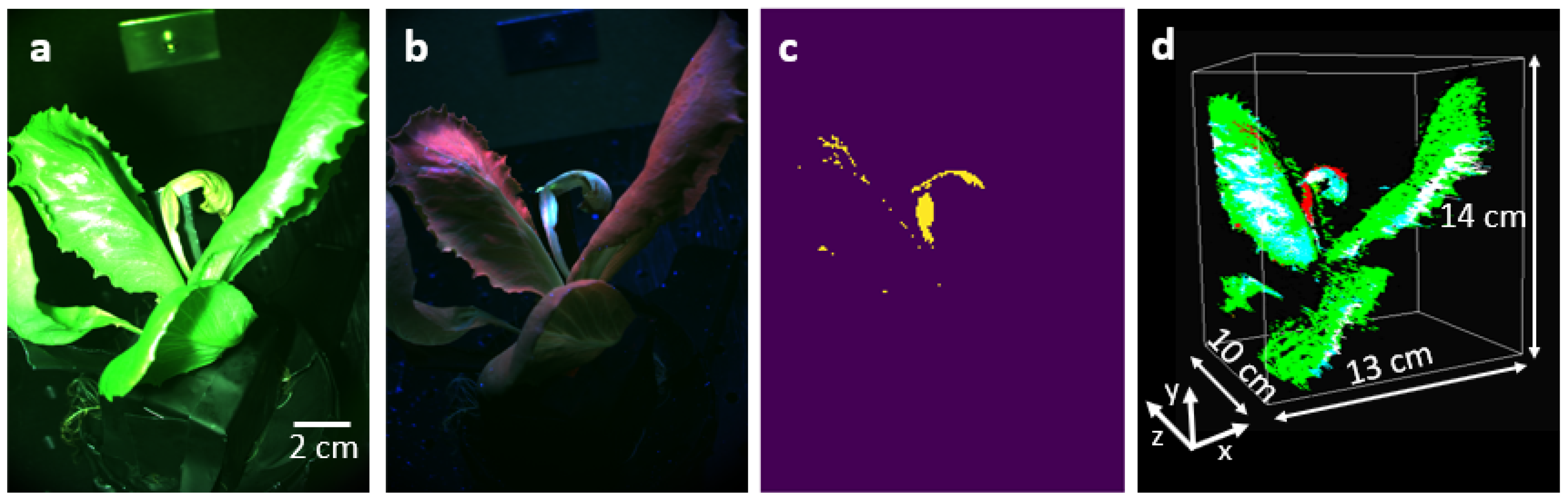 Sensors 25 01572 g005