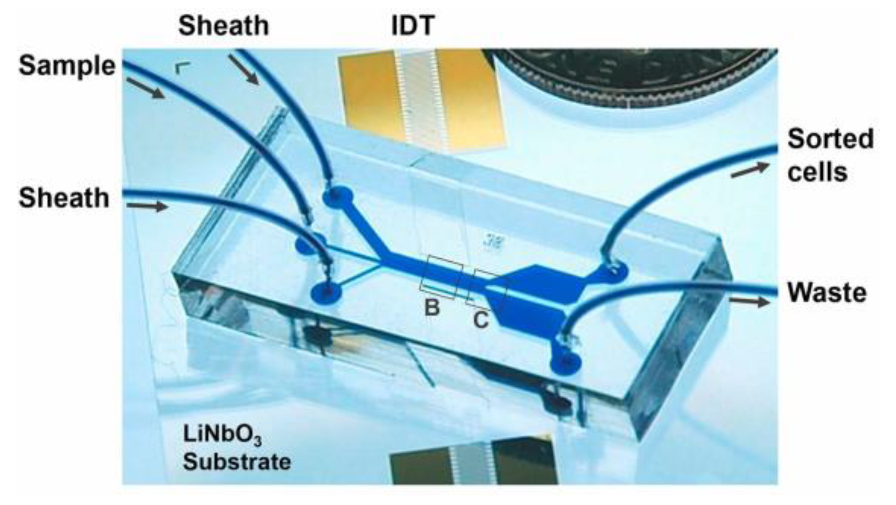 Sensors 25 01577 g001