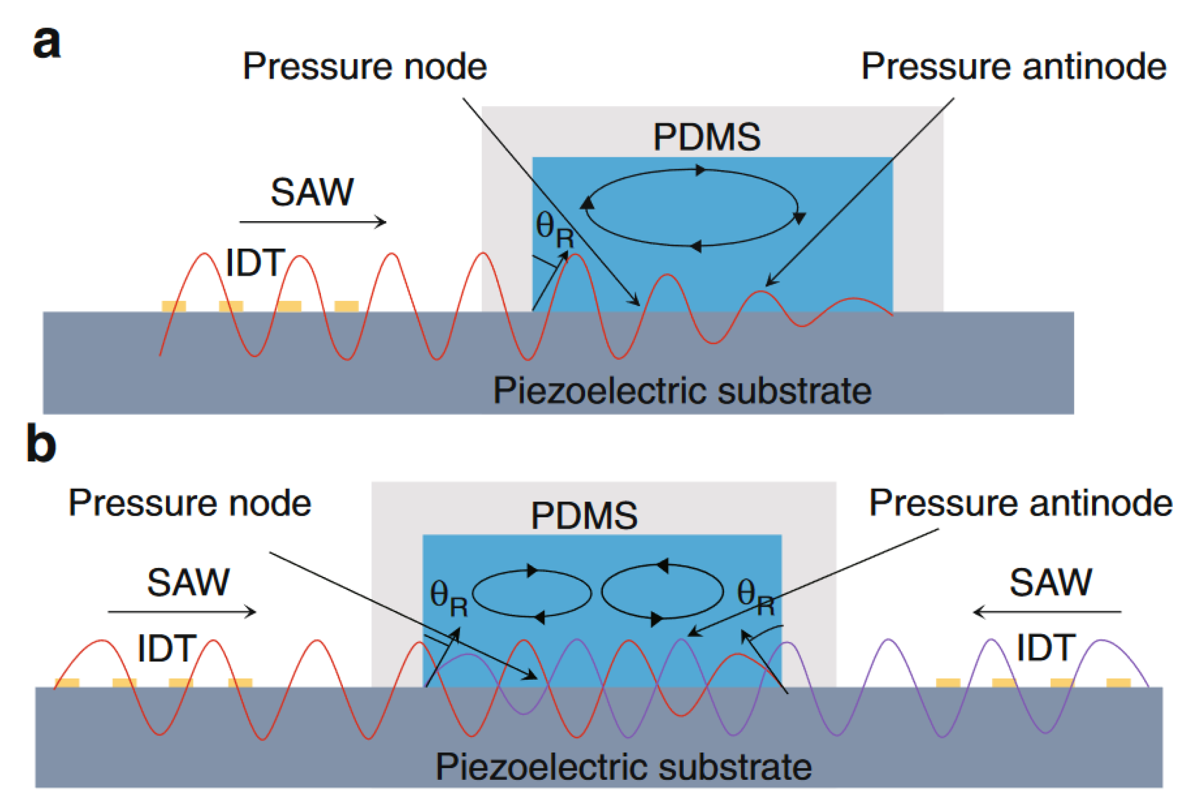 Sensors 25 01577 g004