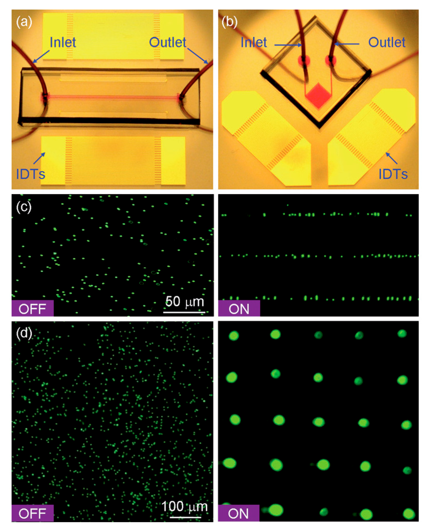 Sensors 25 01577 g005
