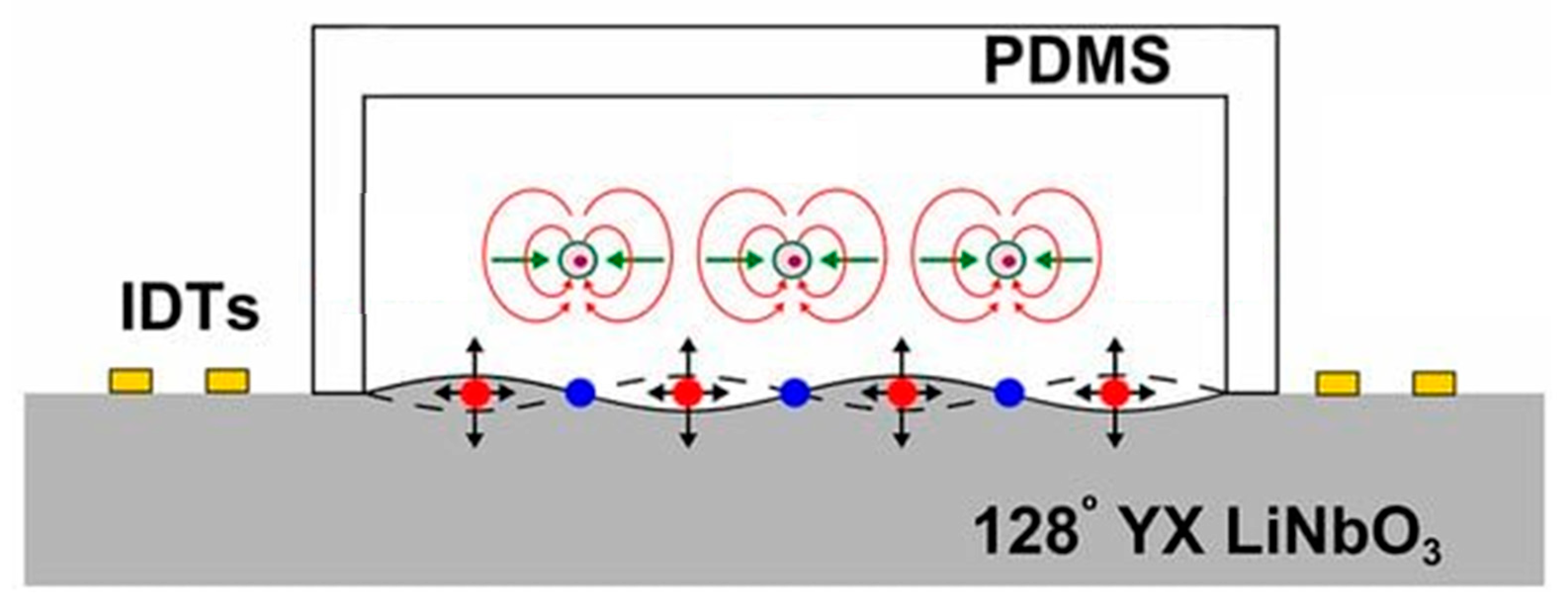 Sensors 25 01577 g006