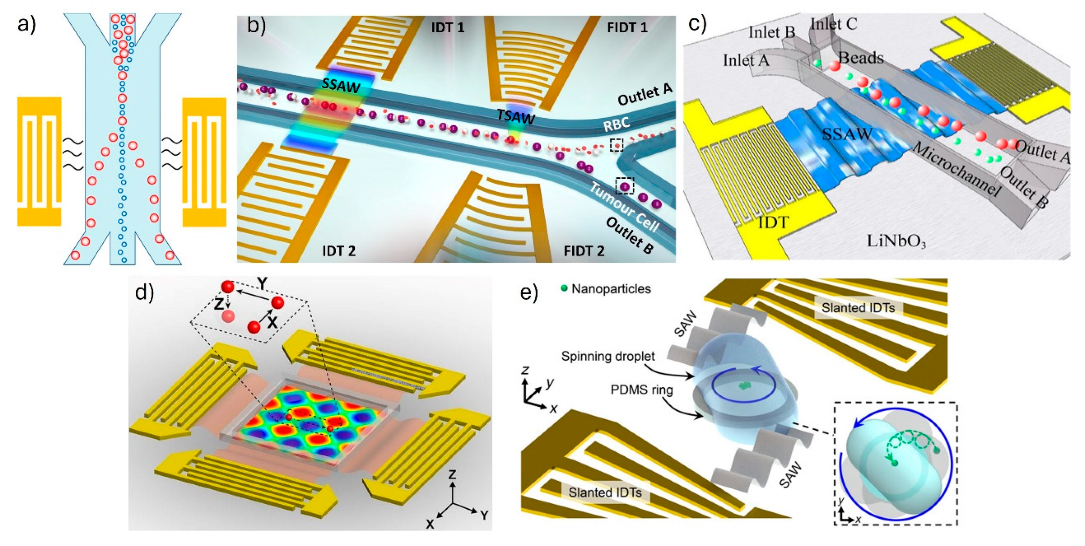 Sensors 25 01577 g007