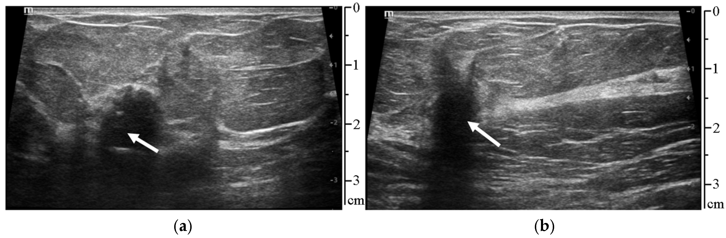 Sensors 25 01593 g001