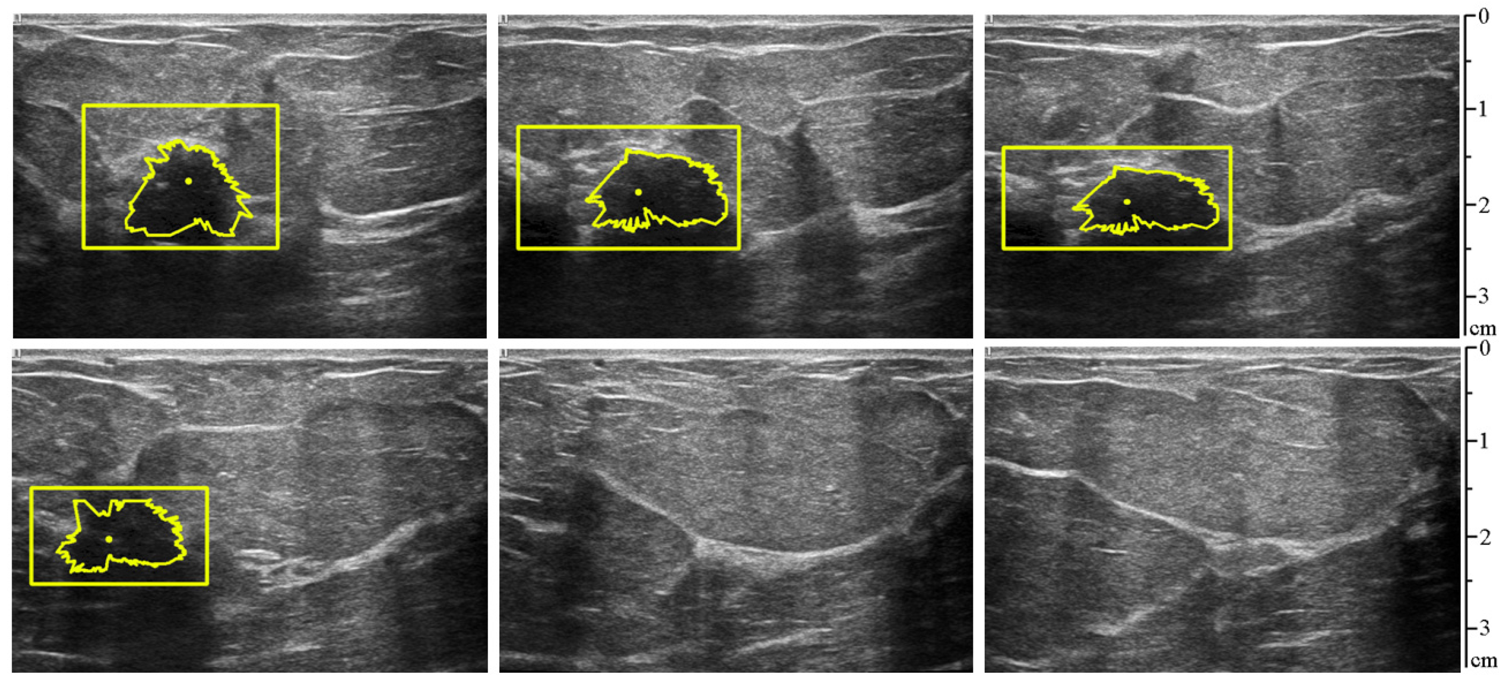 Sensors 25 01593 g010