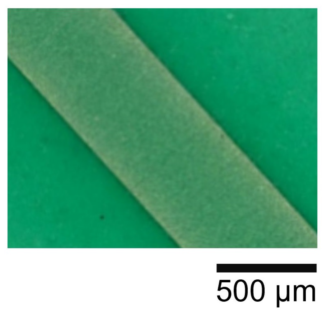 Sensors 25 01596 g005