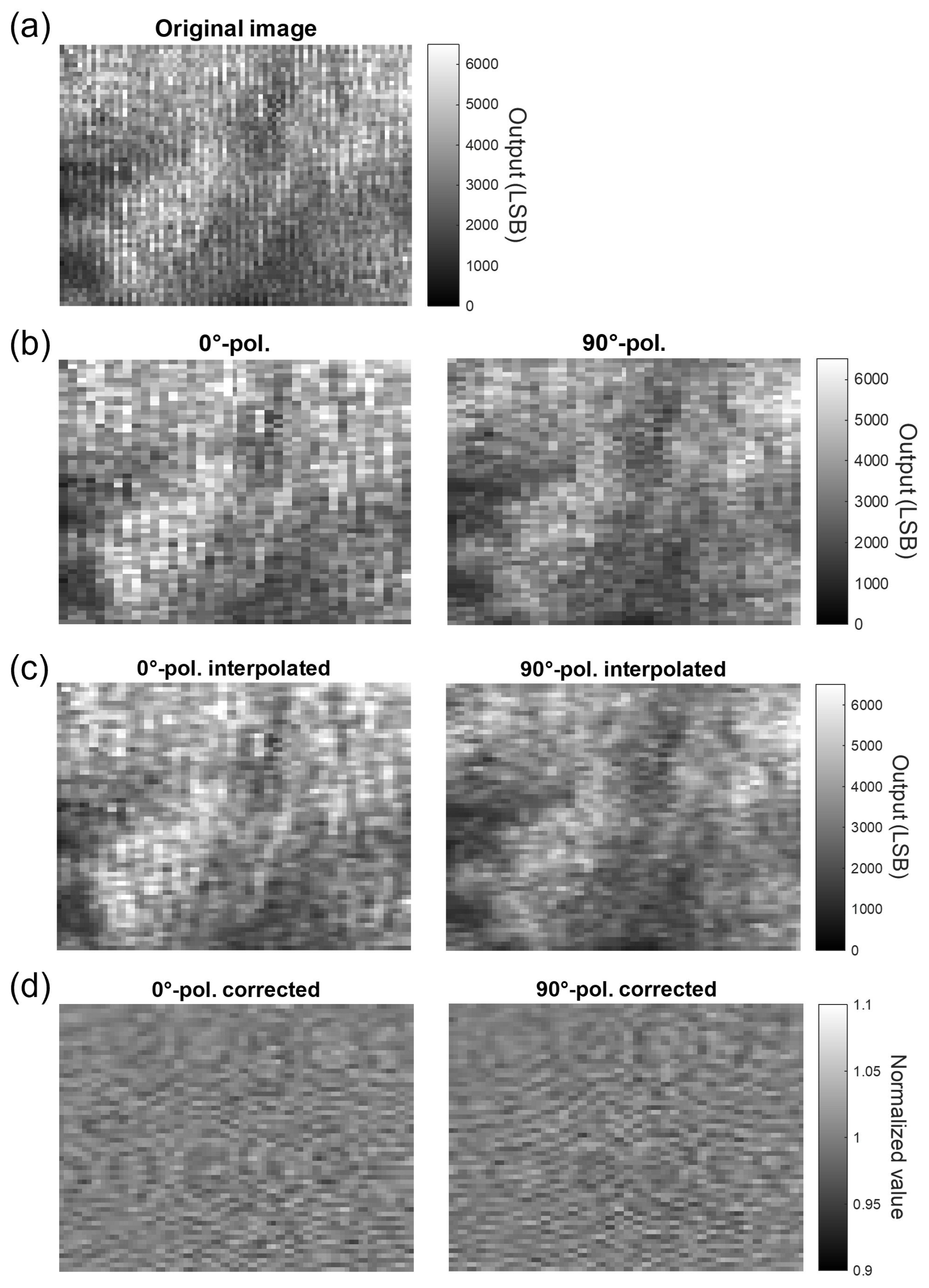 Sensors 25 01596 g006