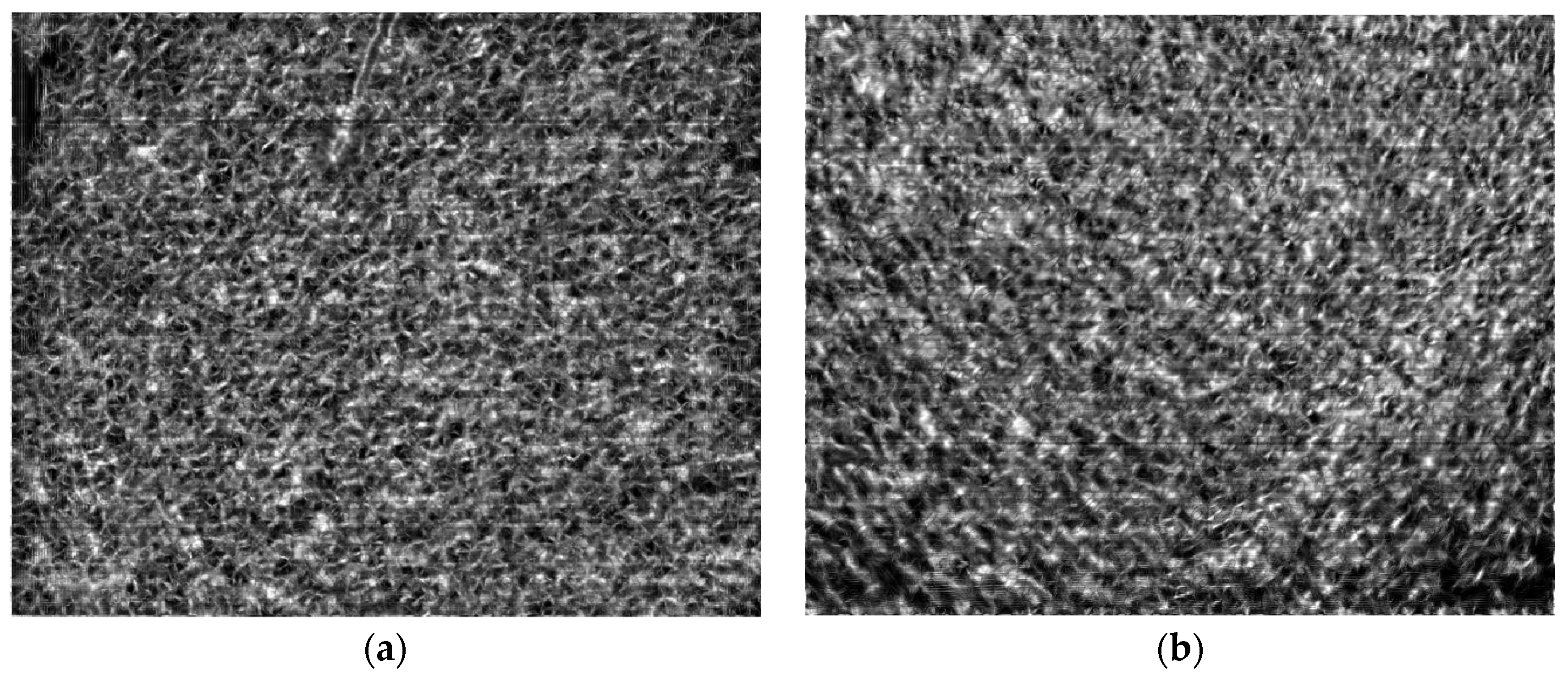 Sensors 25 01607 g002