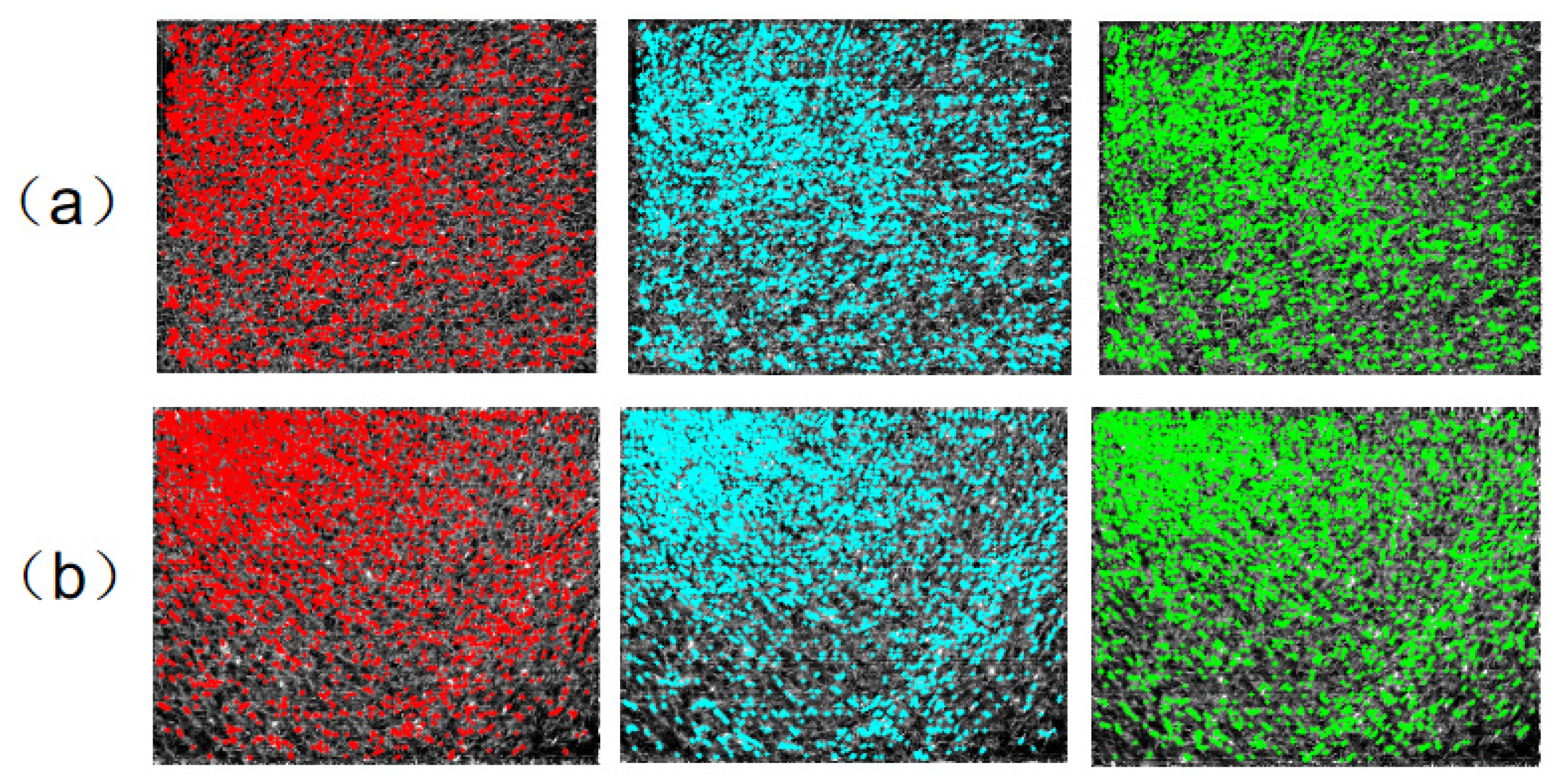 Sensors 25 01607 g003