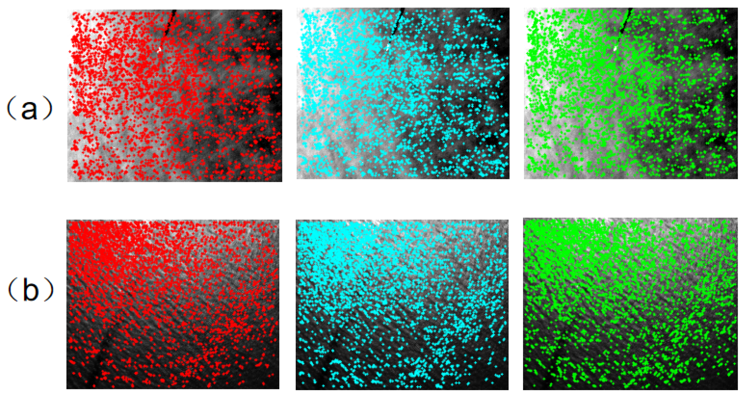 Sensors 25 01607 g004