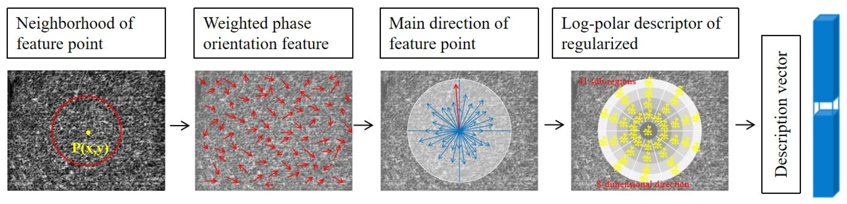 Sensors 25 01607 g005