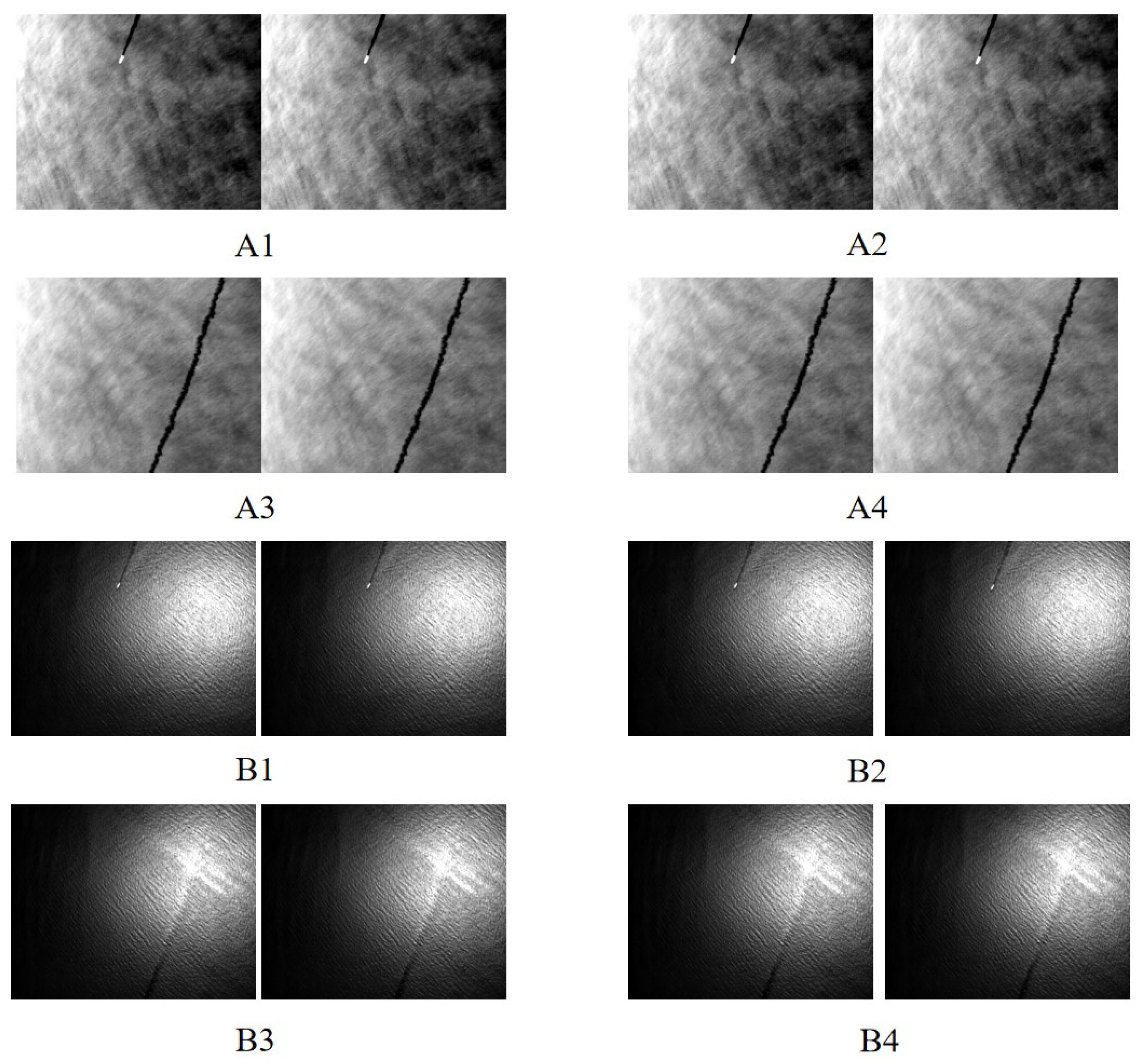 Sensors 25 01607 g006