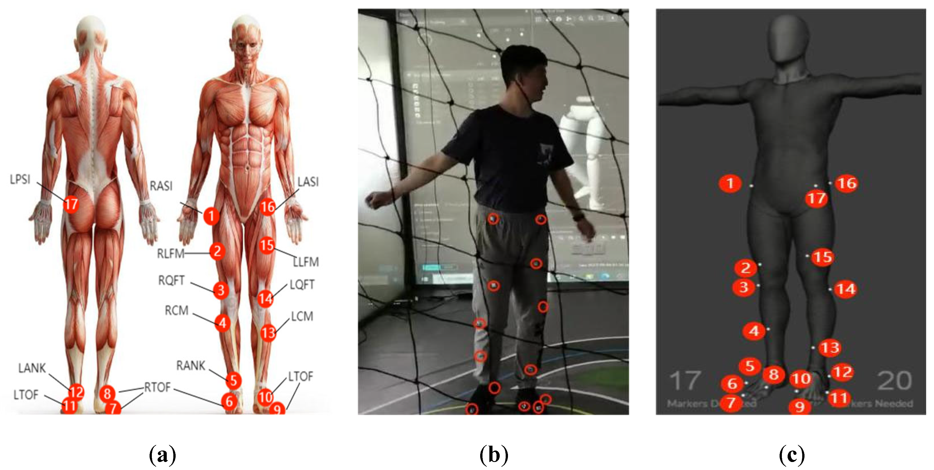 Sensors 25 01611 g002