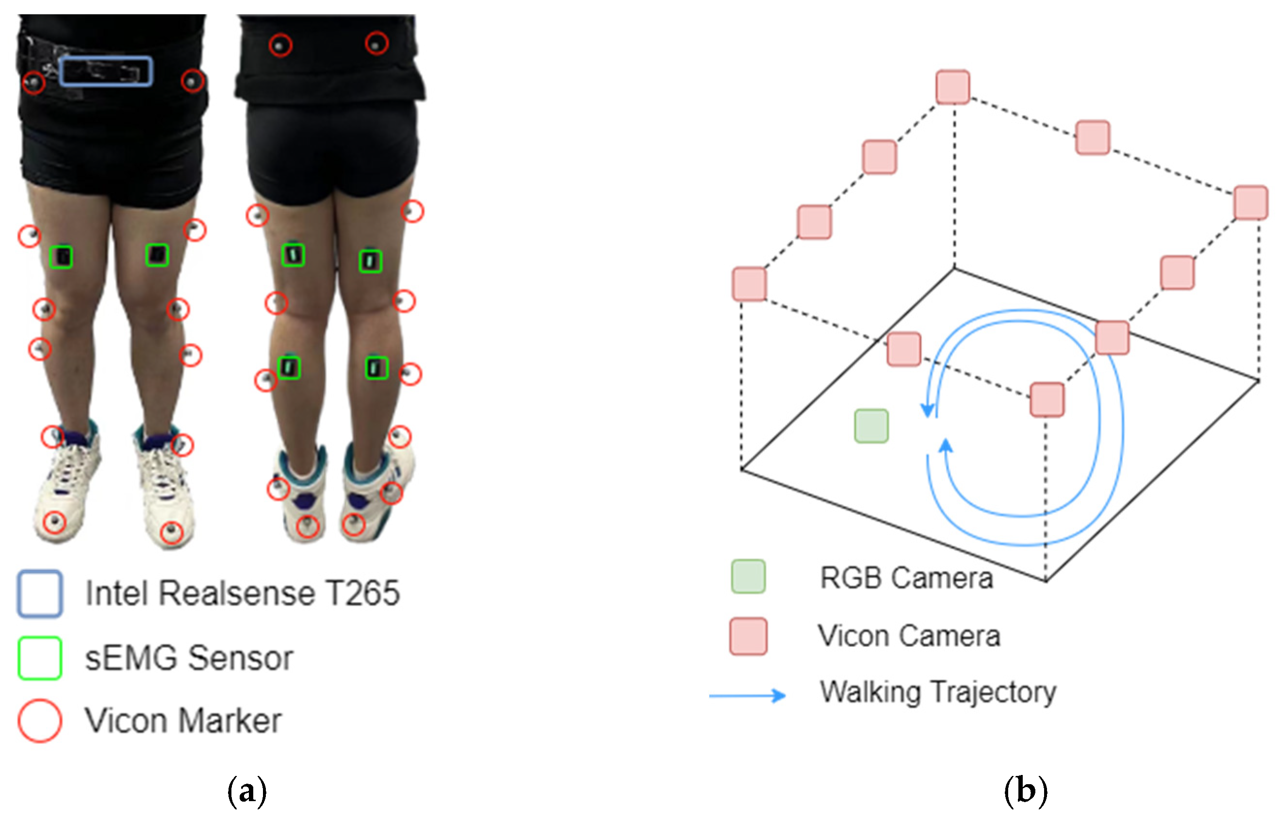 Sensors 25 01613 g001
