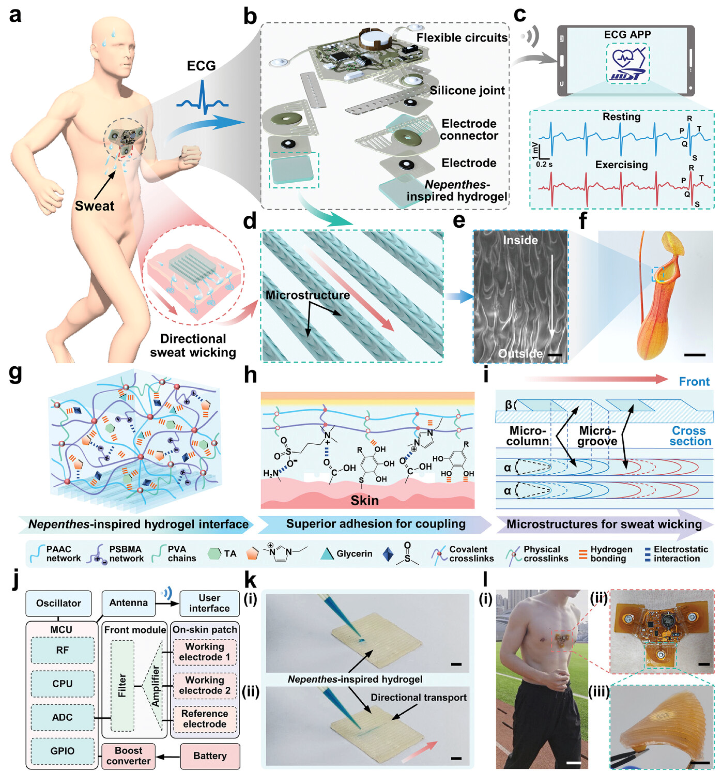 Sensors 25 01615 g004
