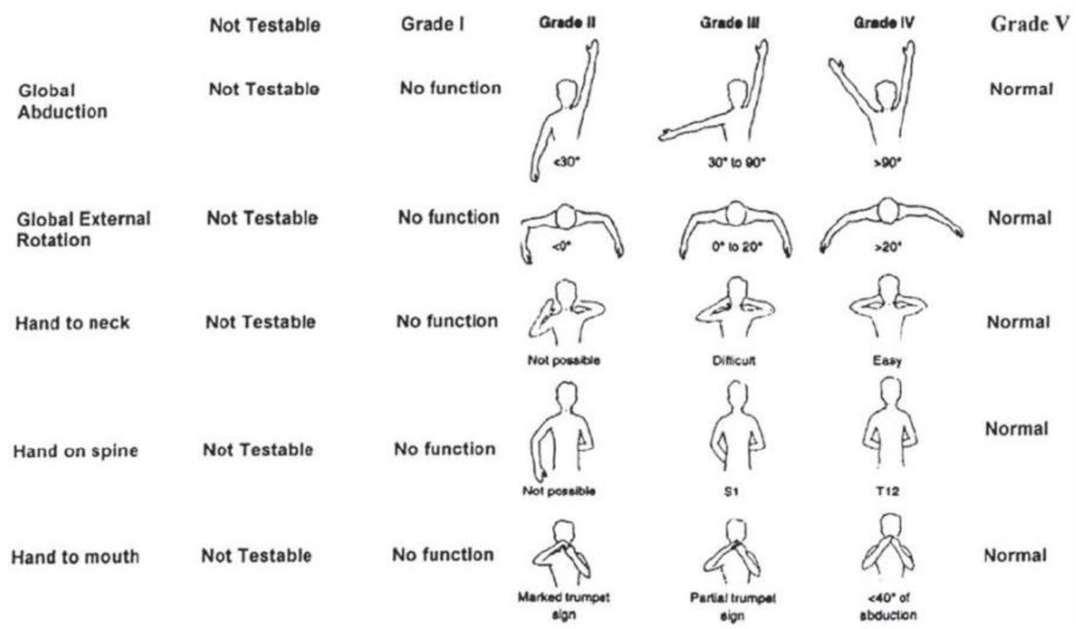 Sensors 25 01619 g001