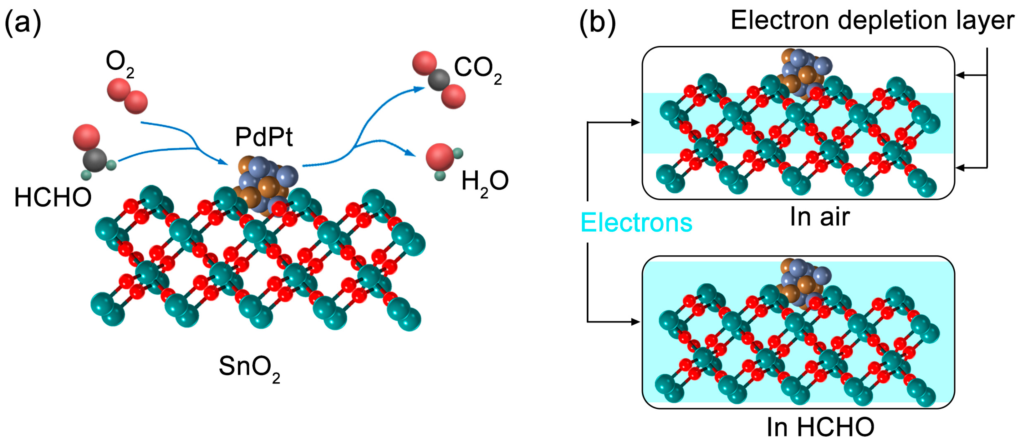 Sensors 25 01627 g006