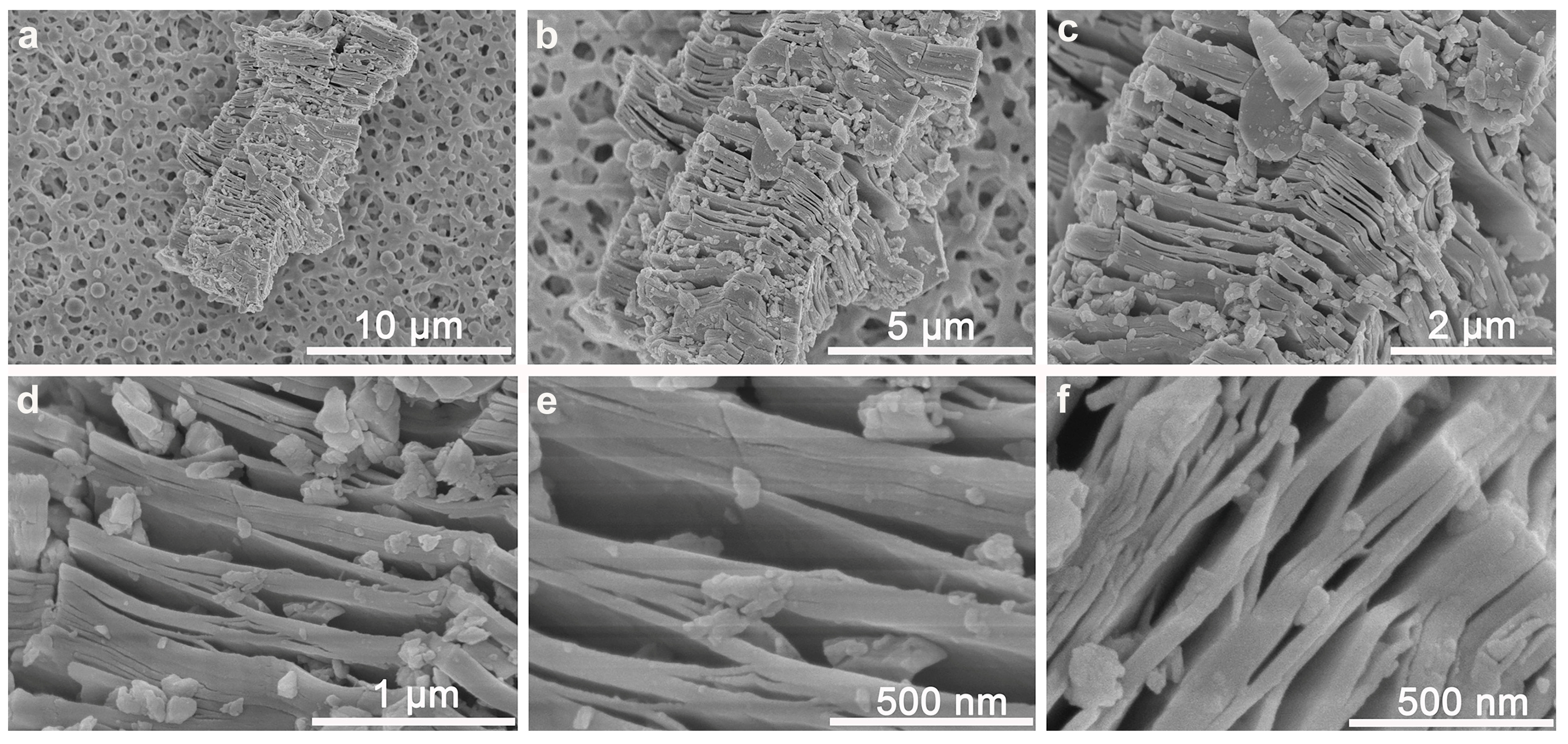 Sensors 25 01637 g002