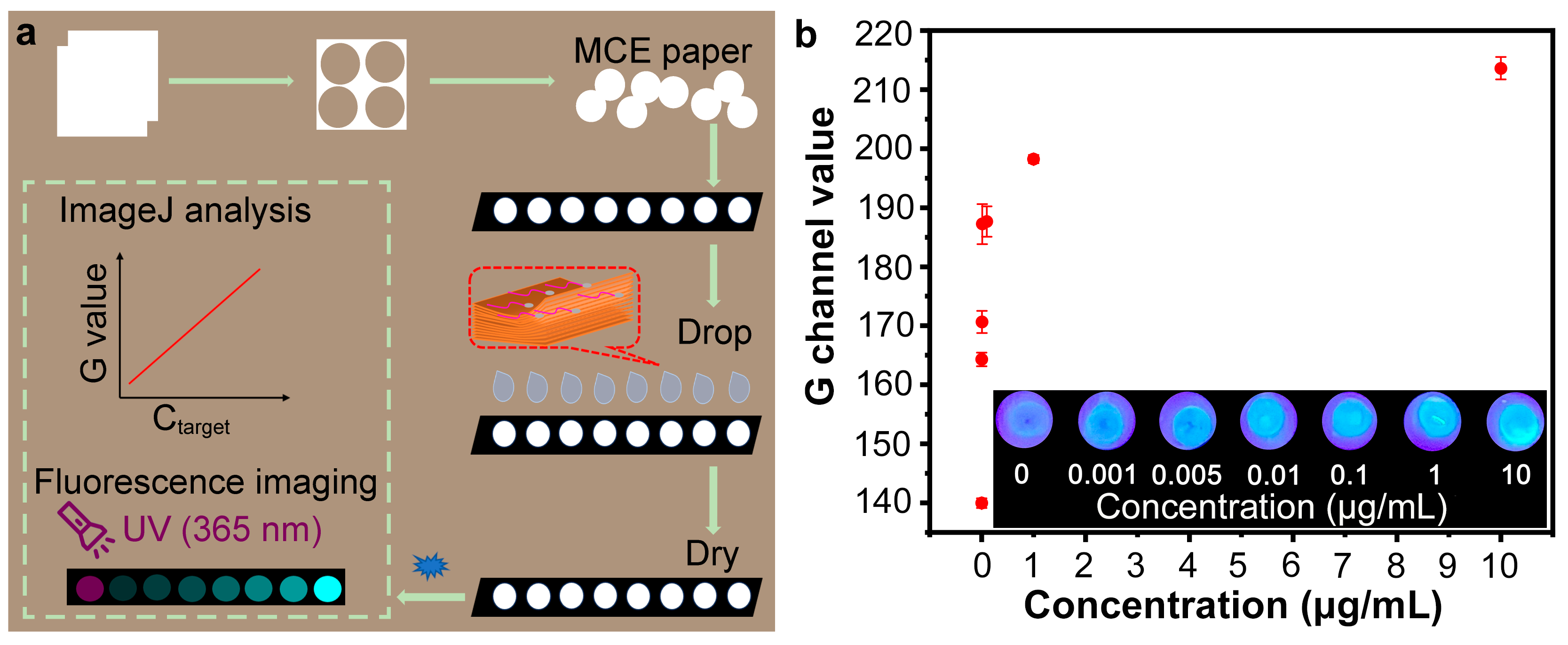 Sensors 25 01637 g005