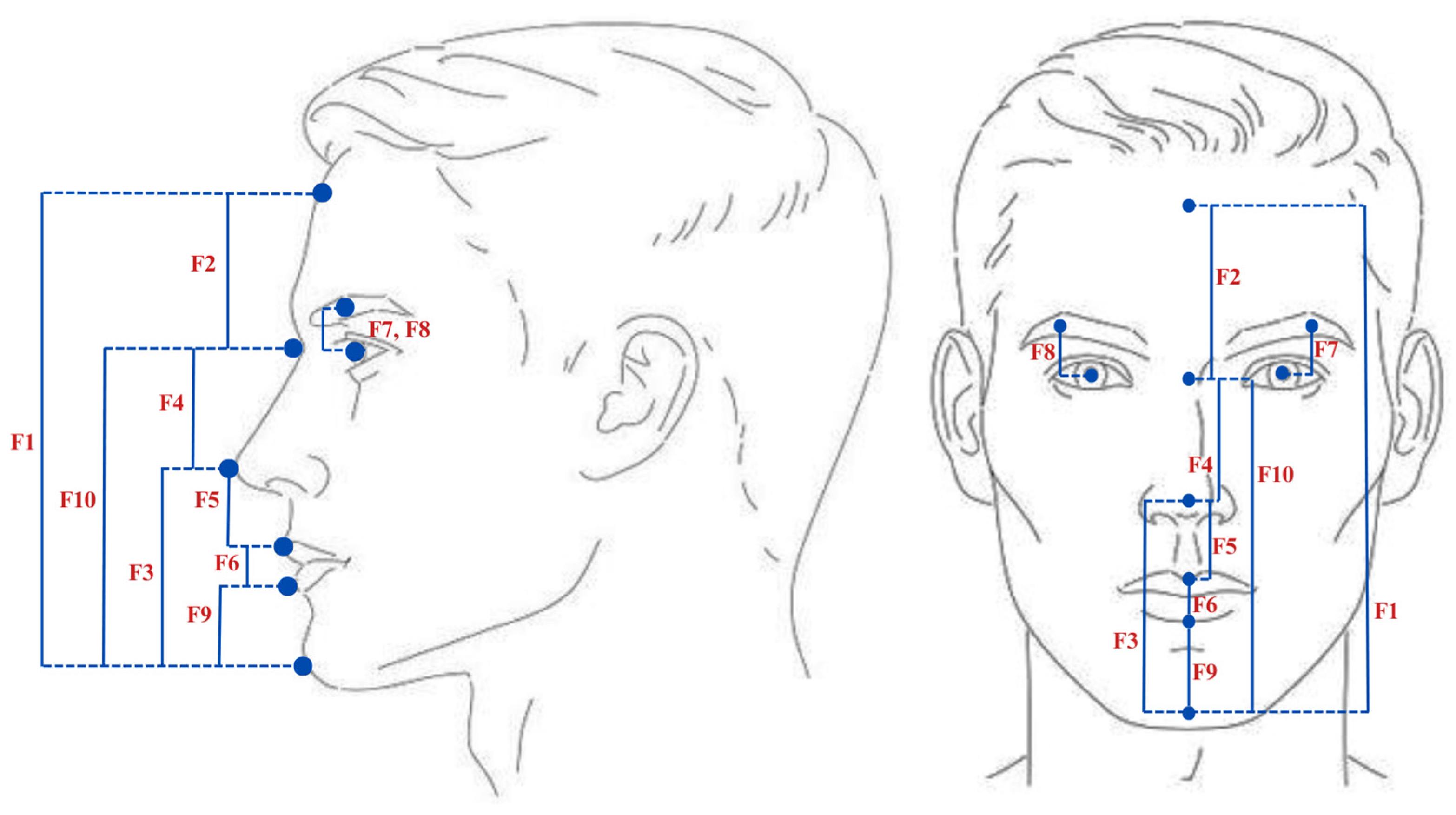 Sensors 25 01638 g006 Sensors 25 01638 g006