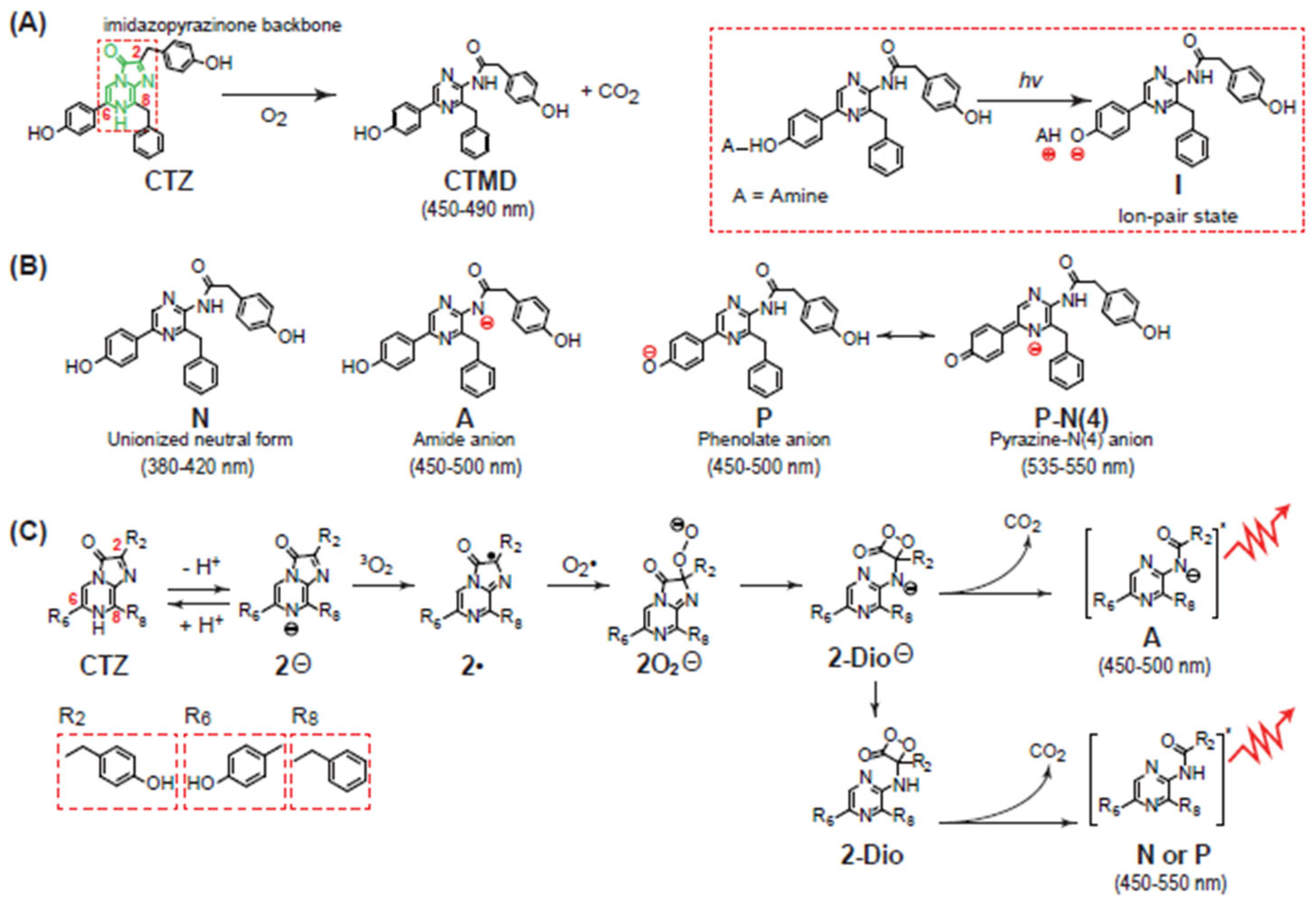 Sensors 25 01651 g001