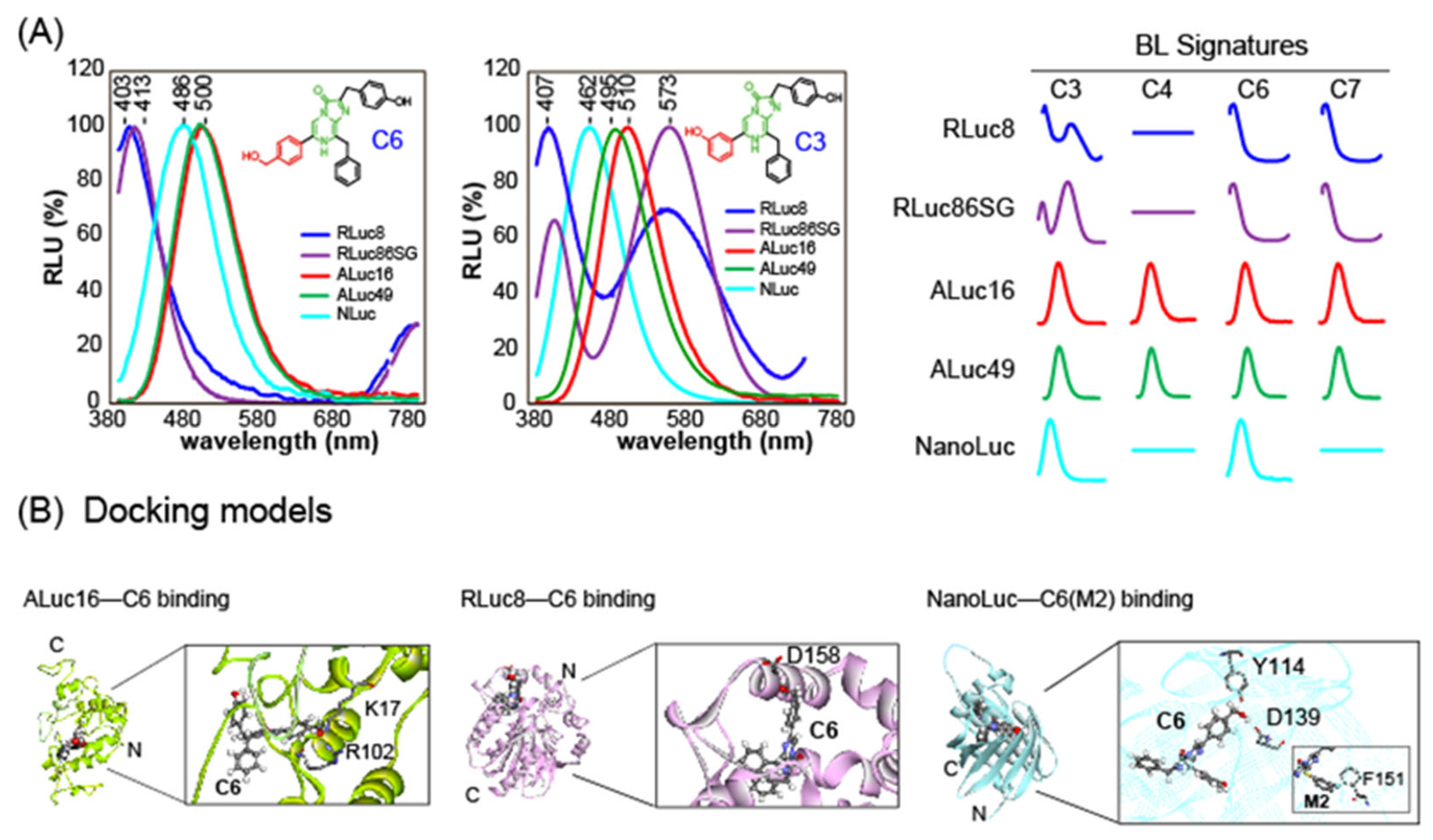 Sensors 25 01651 g004
