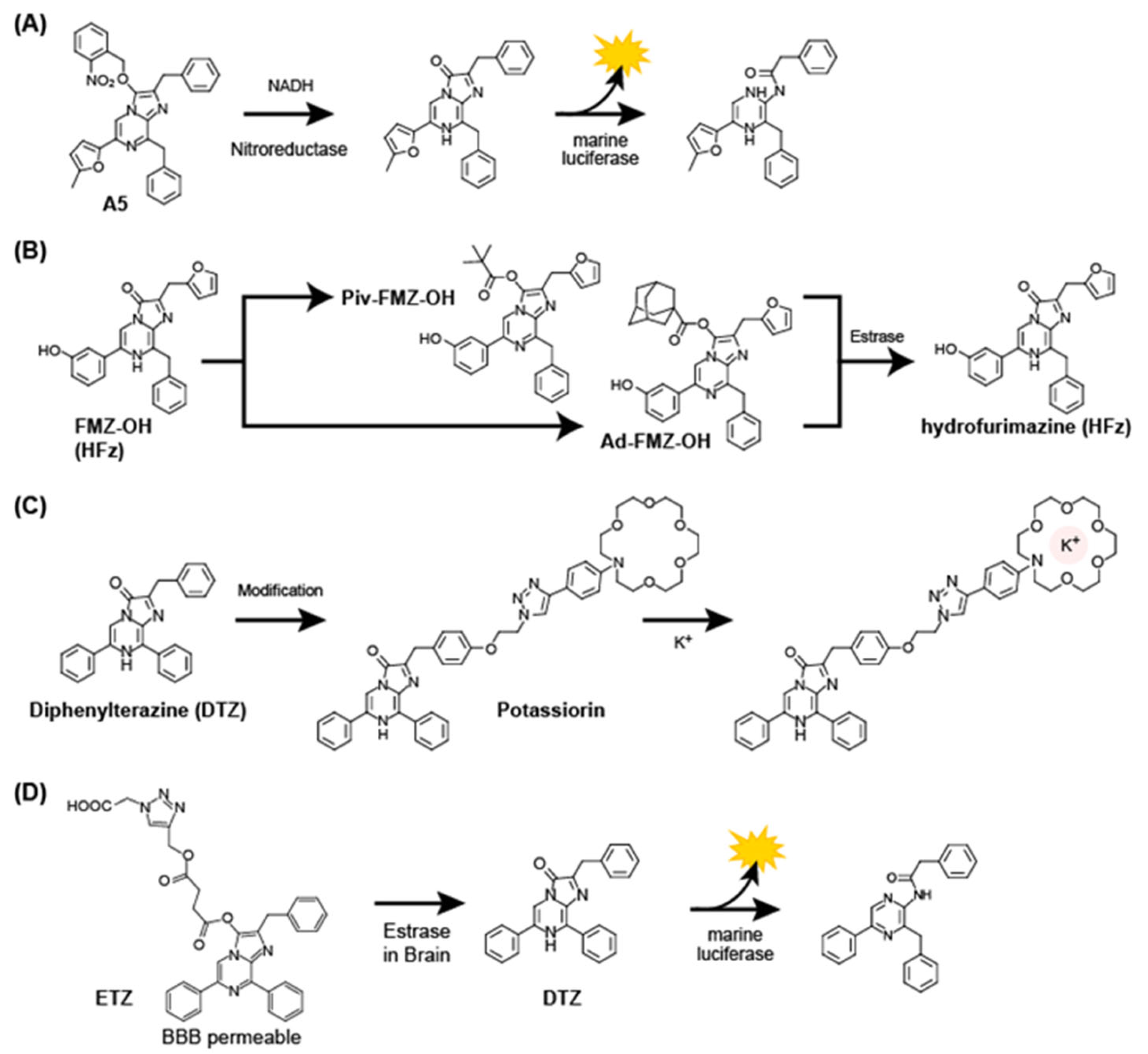 Sensors 25 01651 g007