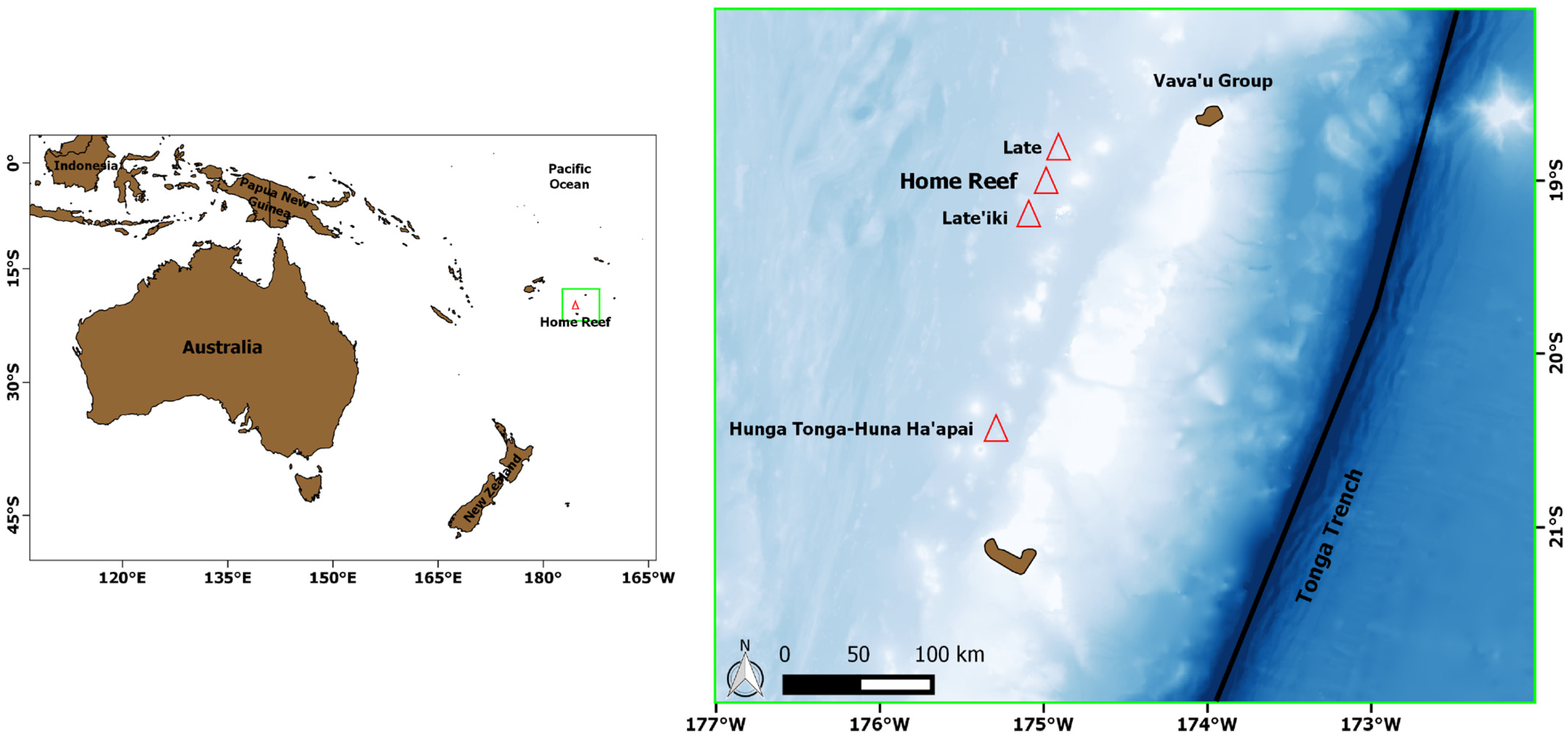 Sensors 25 01658 g001