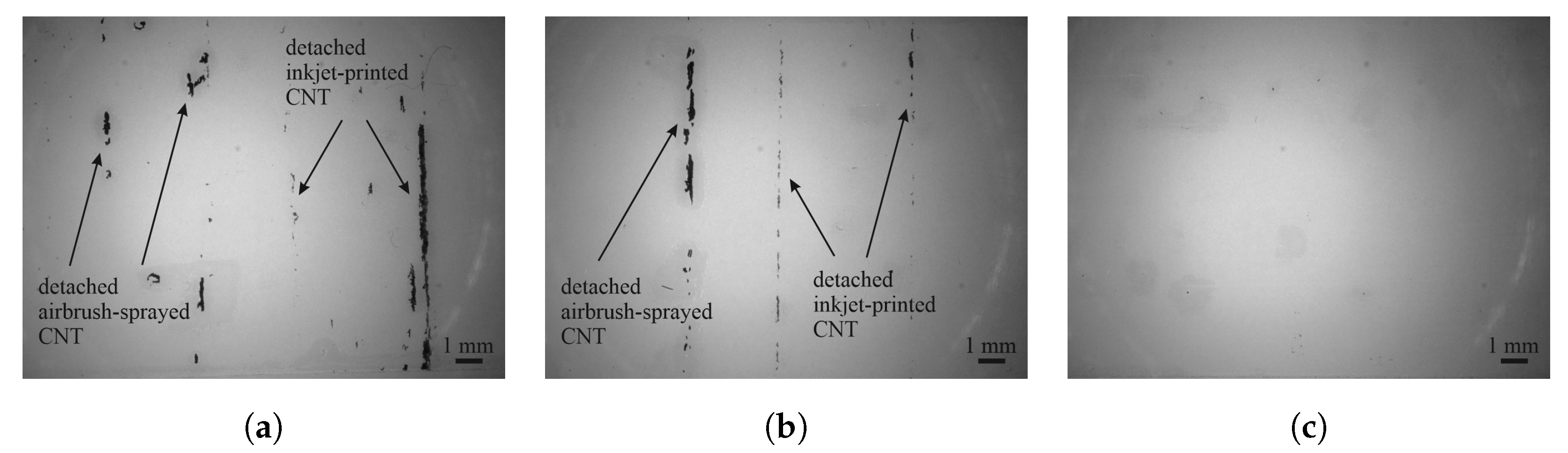 Sensors 25 01659 g005 Sensors 25 01659 g005