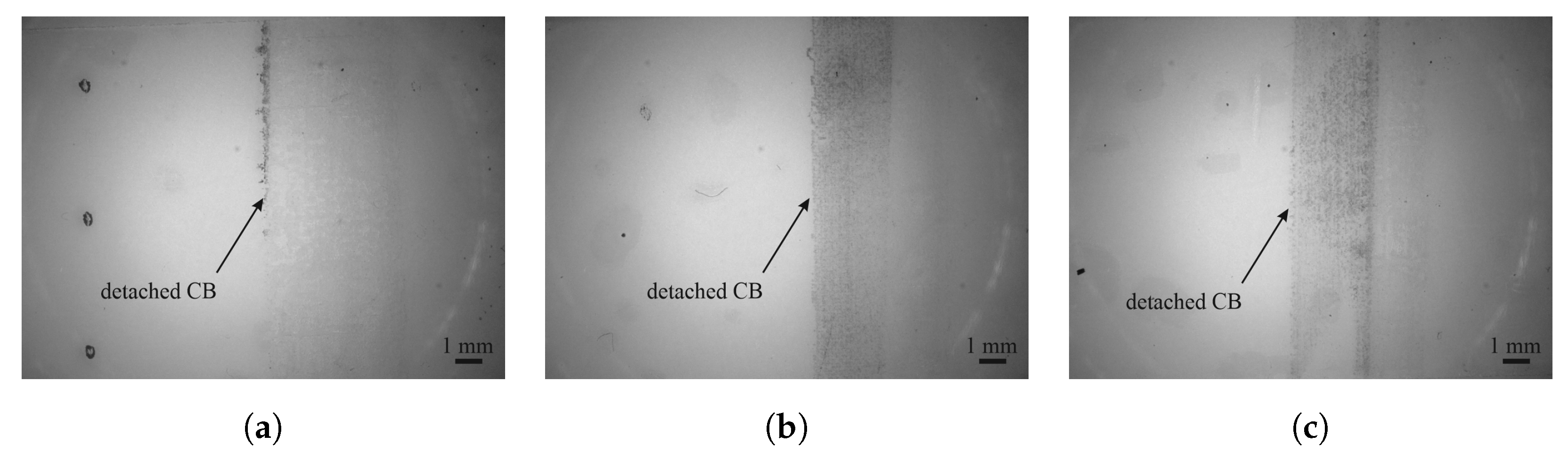 Sensors 25 01659 g006 Sensors 25 01659 g006