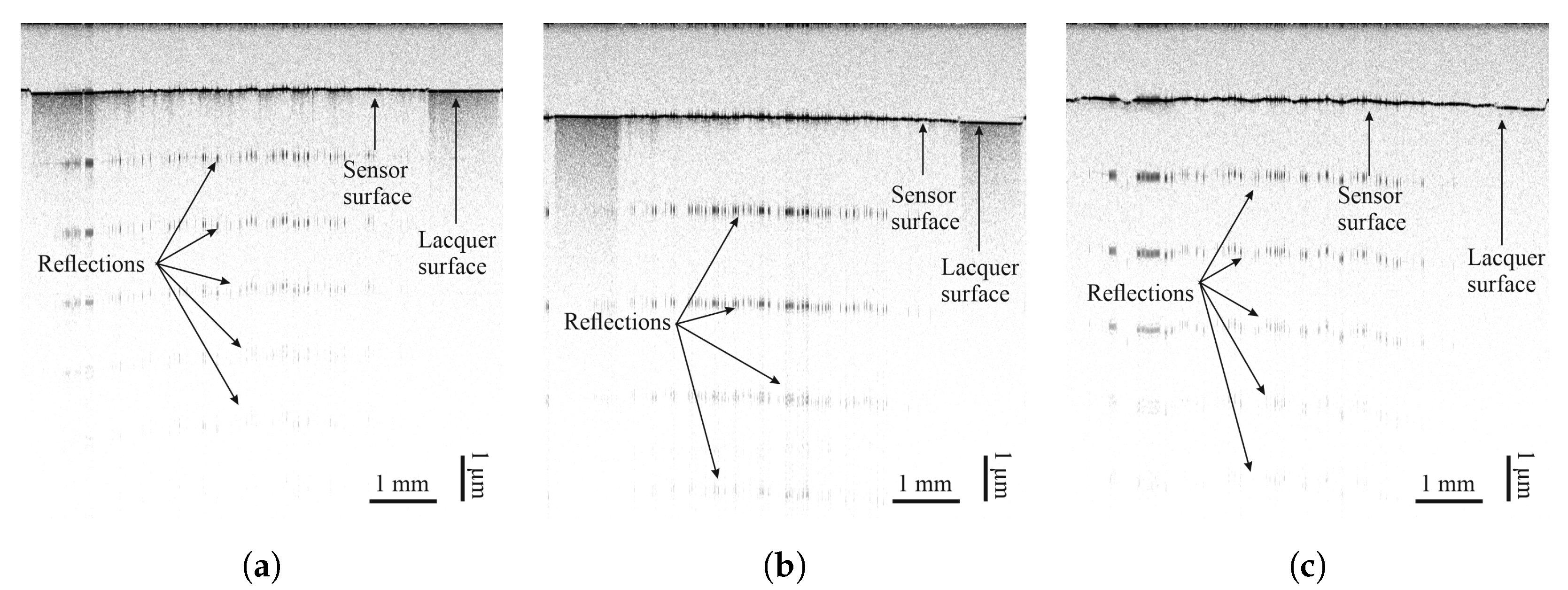Sensors 25 01659 g008 Sensors 25 01659 g008