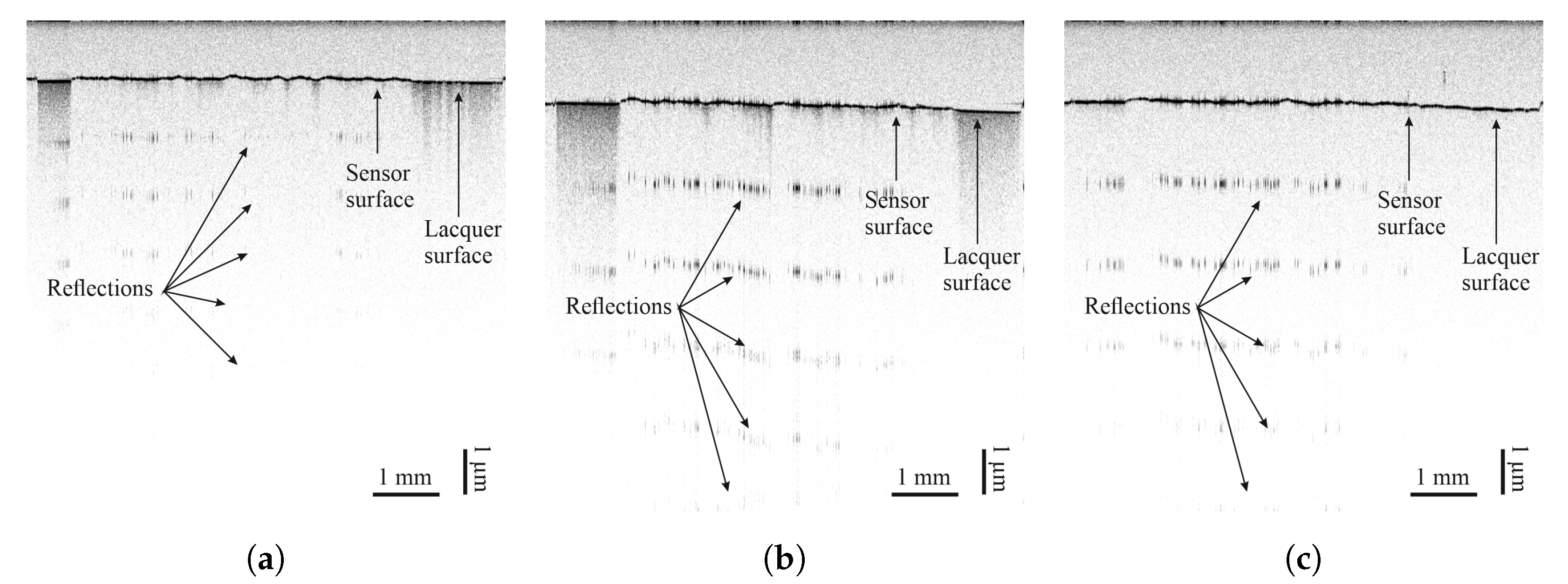 Sensors 25 01659 g009 Sensors 25 01659 g009