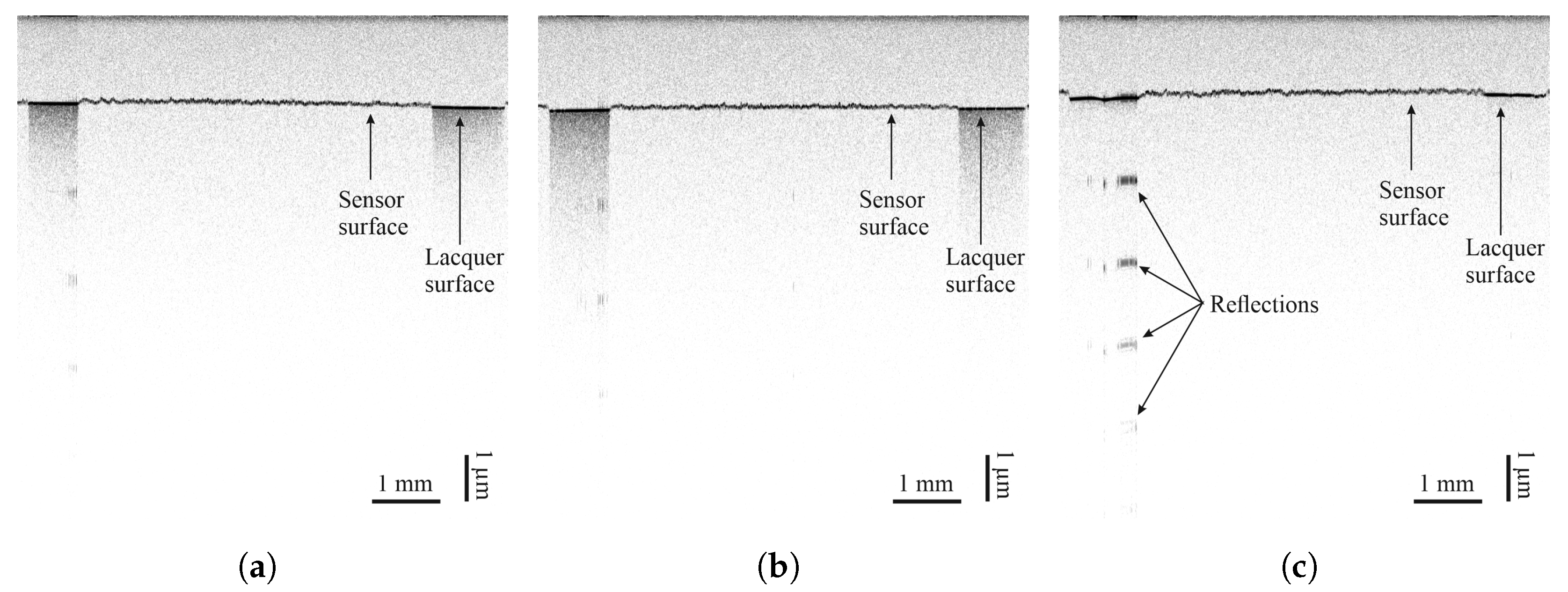 Sensors 25 01659 g010 Sensors 25 01659 g010