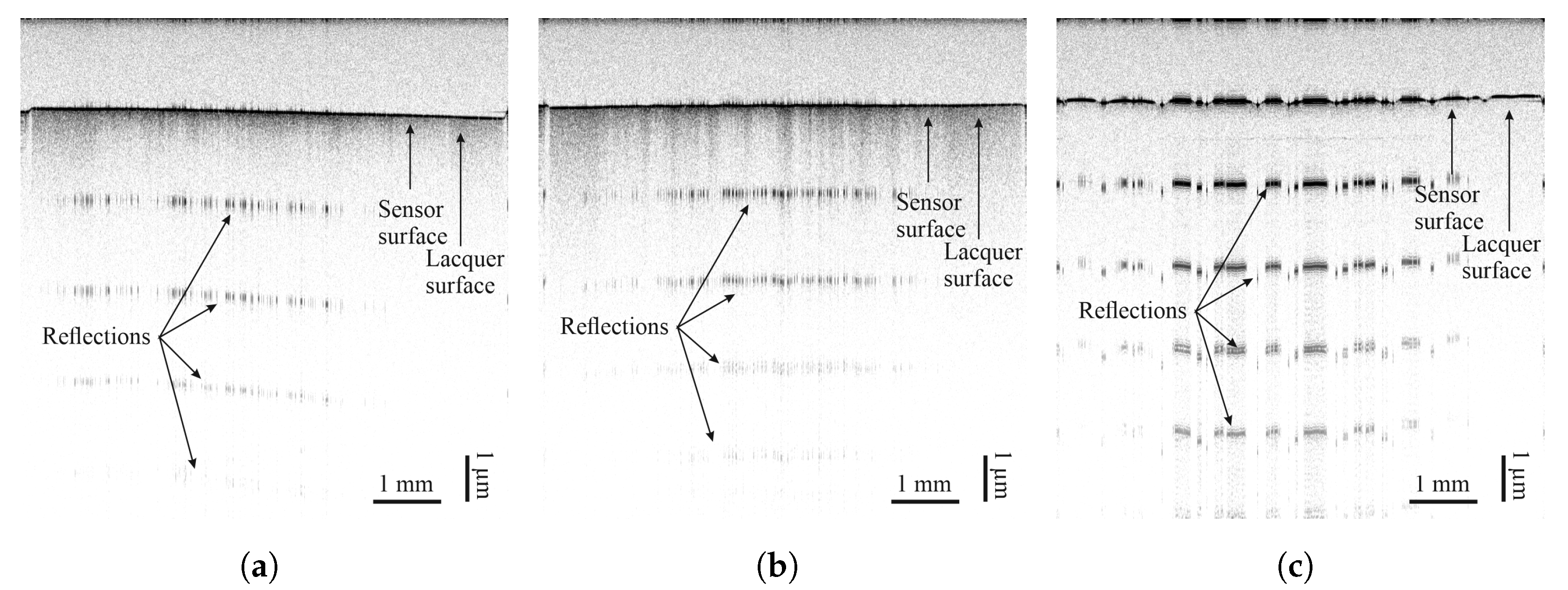 Sensors 25 01659 g011 Sensors 25 01659 g011