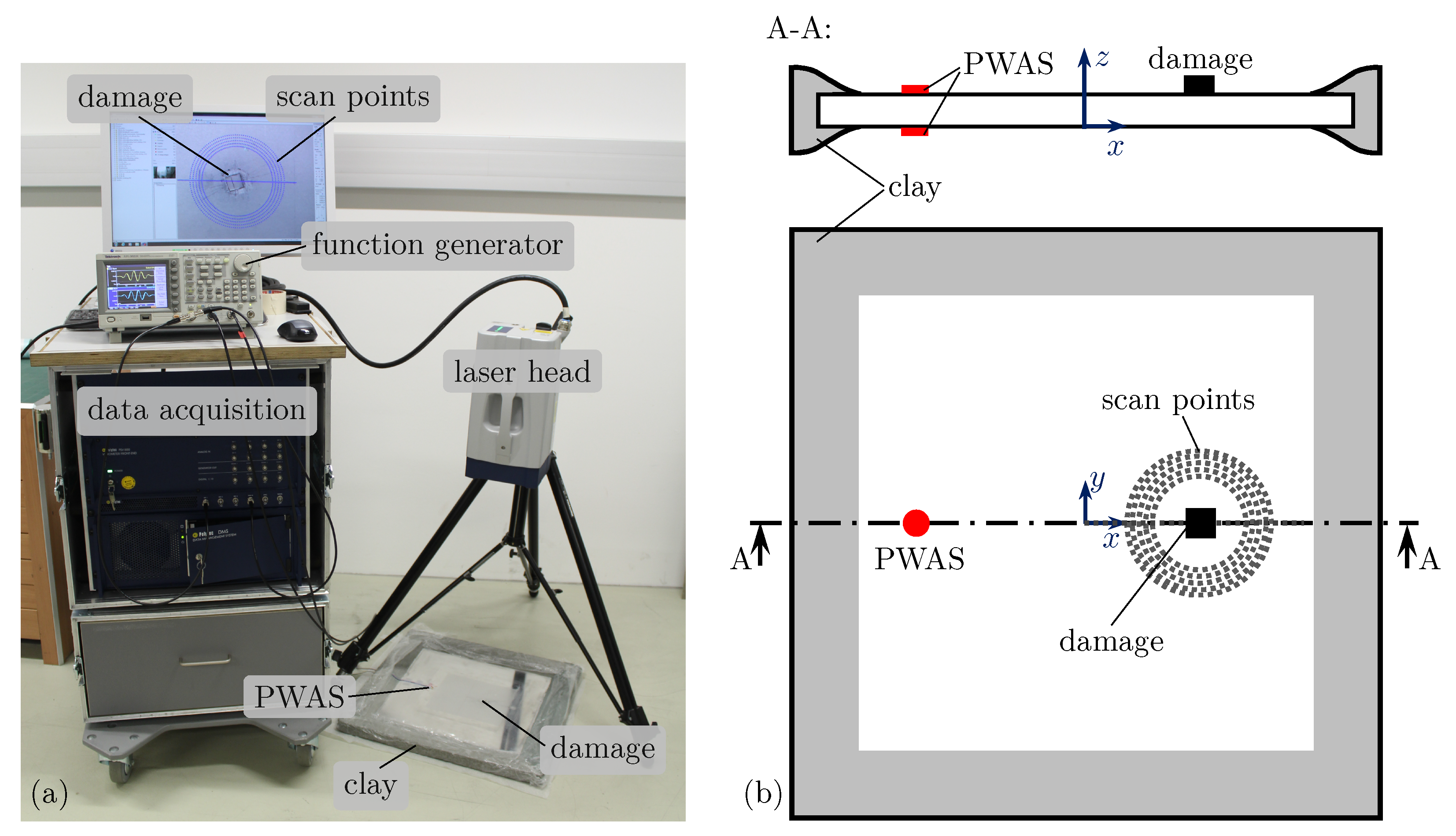 Sensors 25 01681 g005