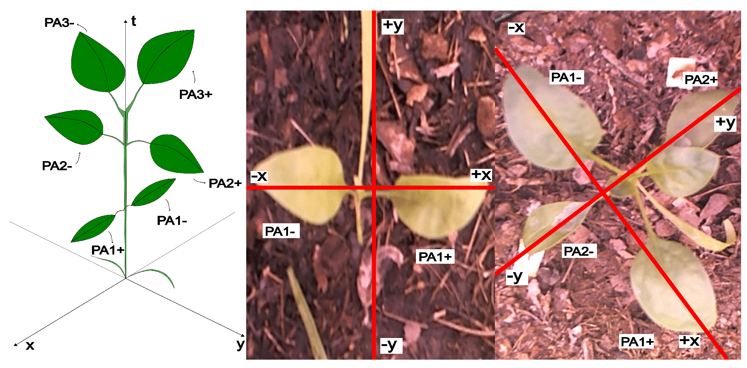 Sensors 25 01684 g009