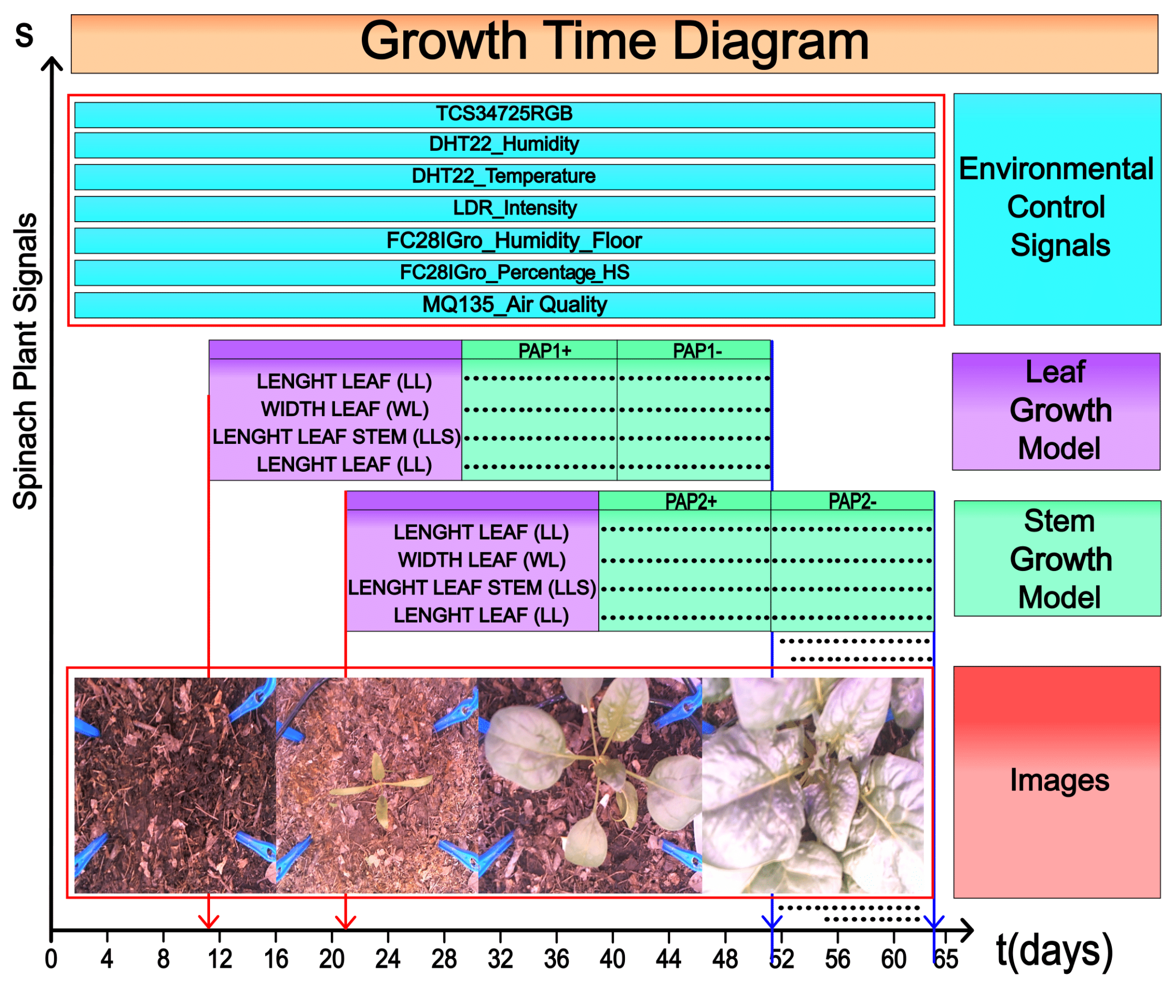 Sensors 25 01684 g010